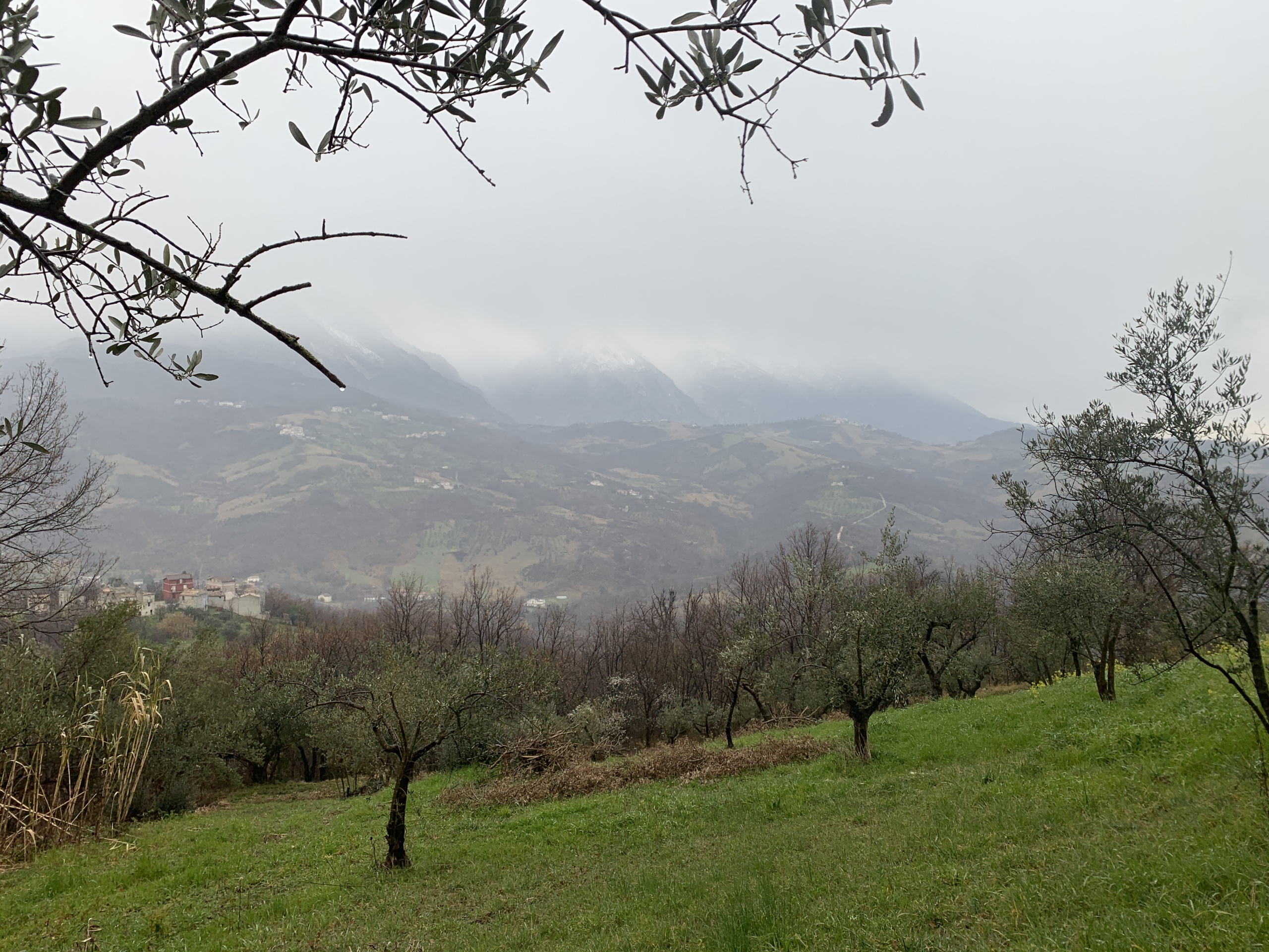 Immagine 4 di Casa semindipendente in vendita  a Gessopalena