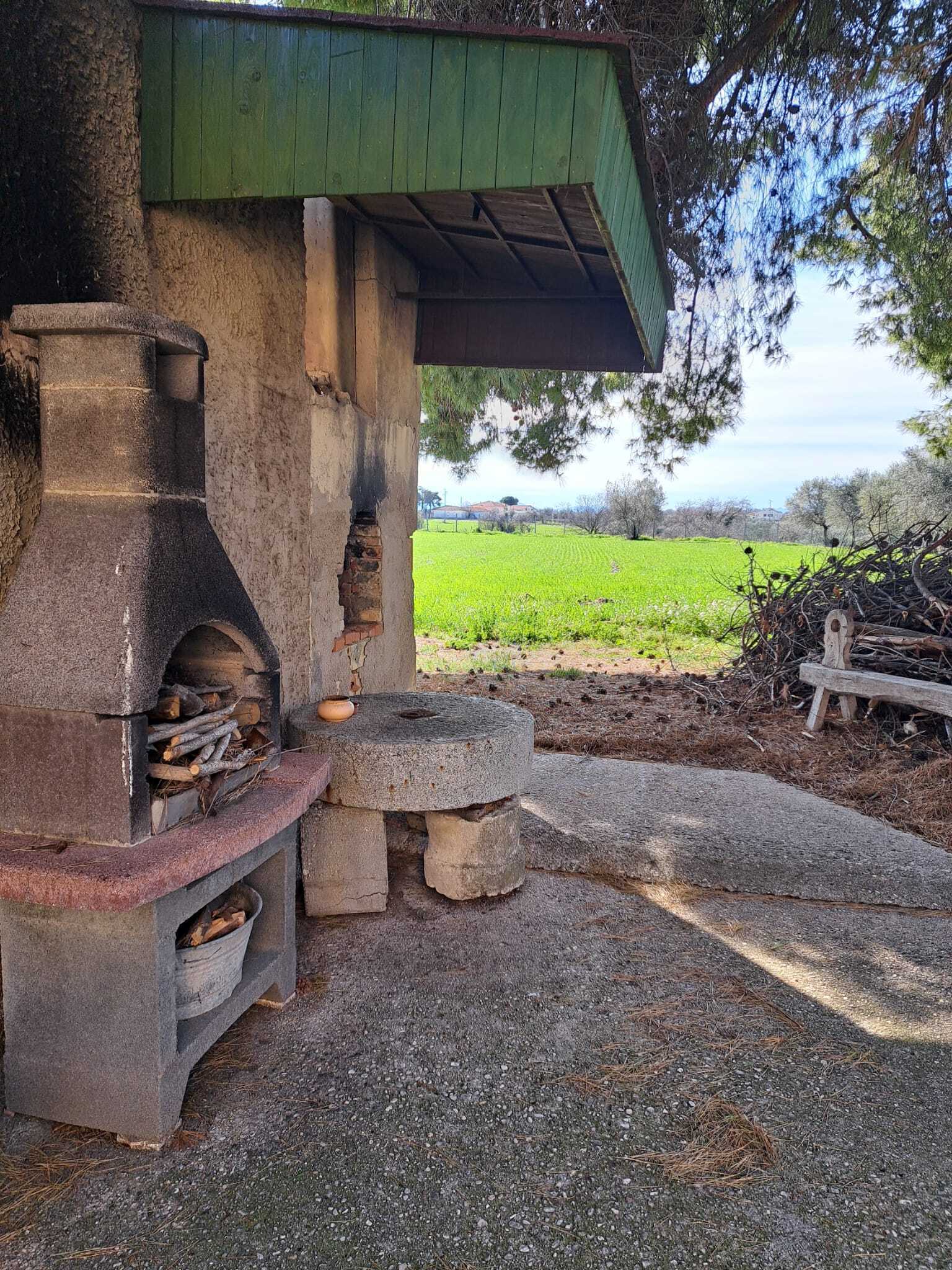 Foto annuncio 59