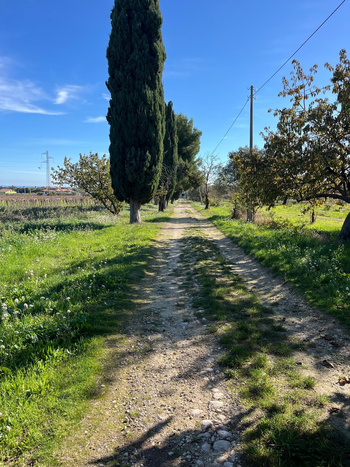 Foto annuncio 5
