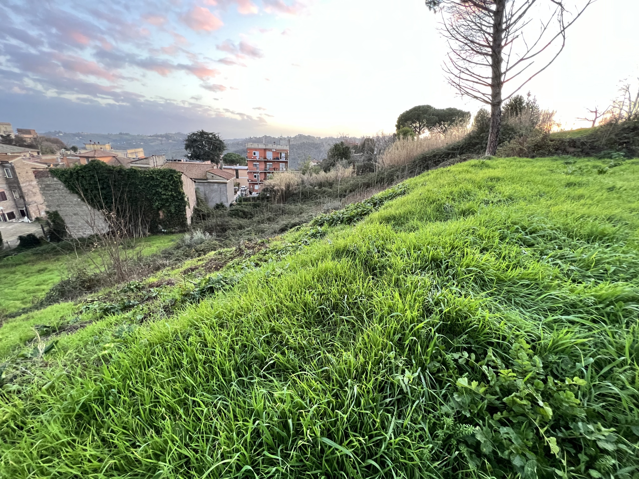 Foto annuncio 7