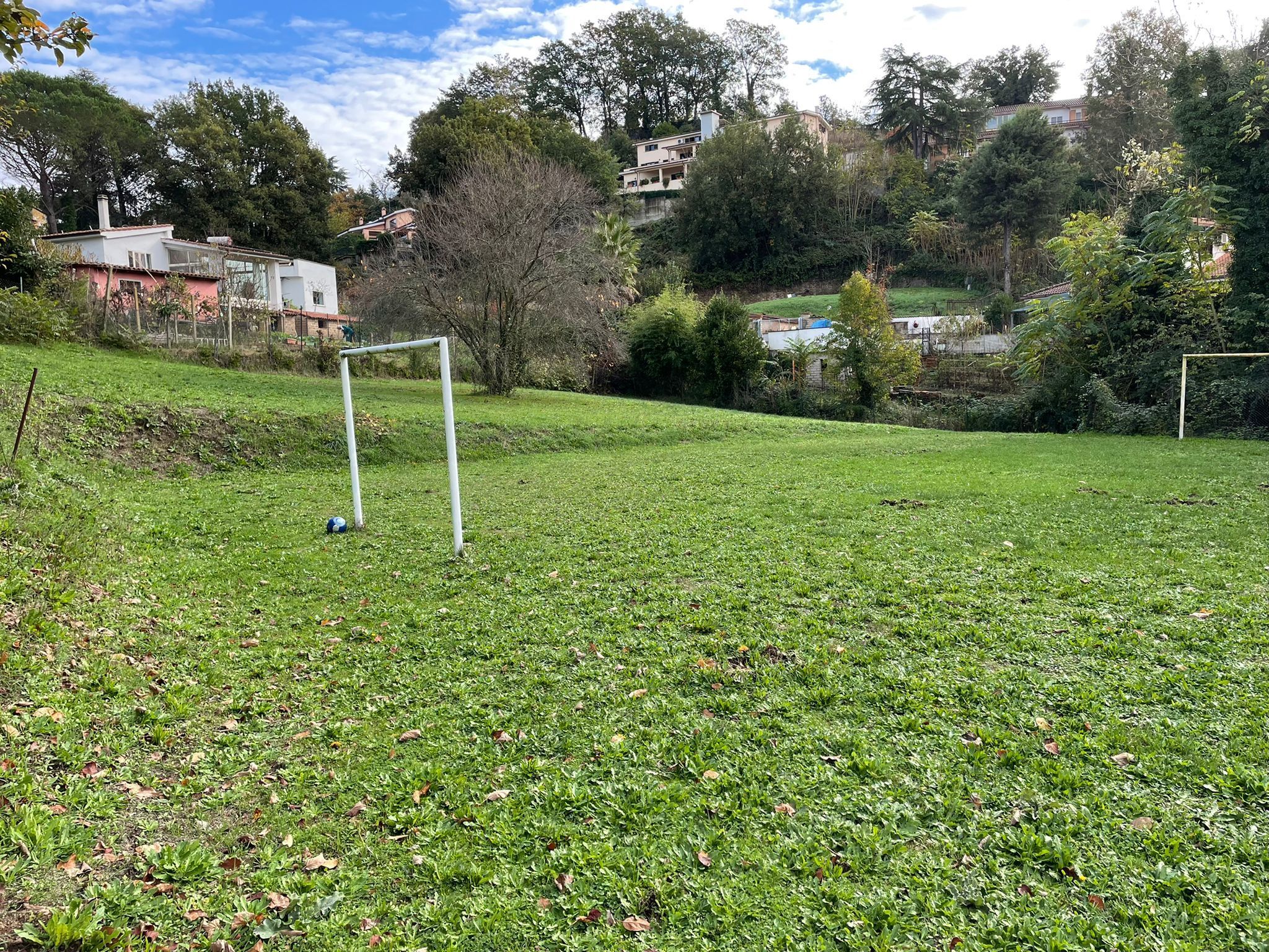 Foto annuncio 6