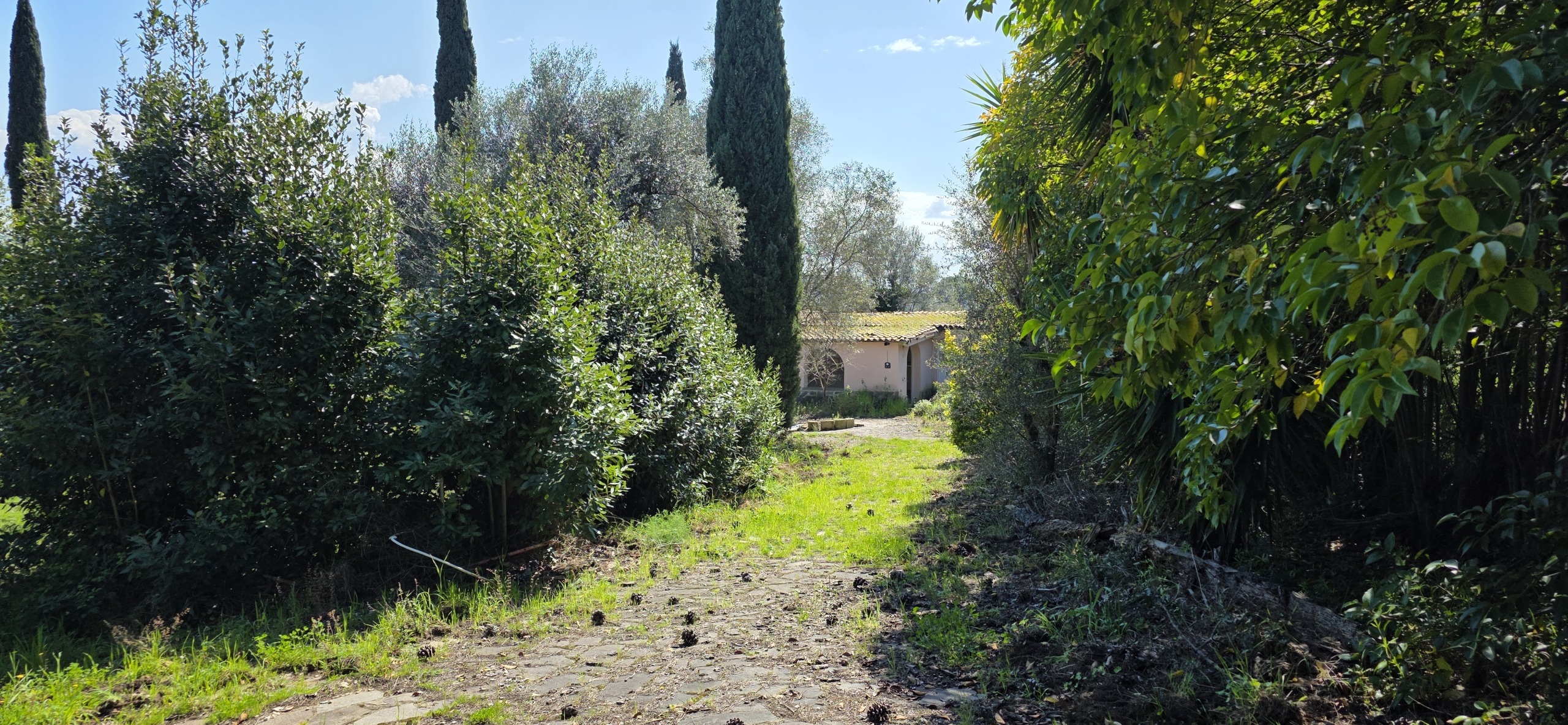 Foto annuncio 1