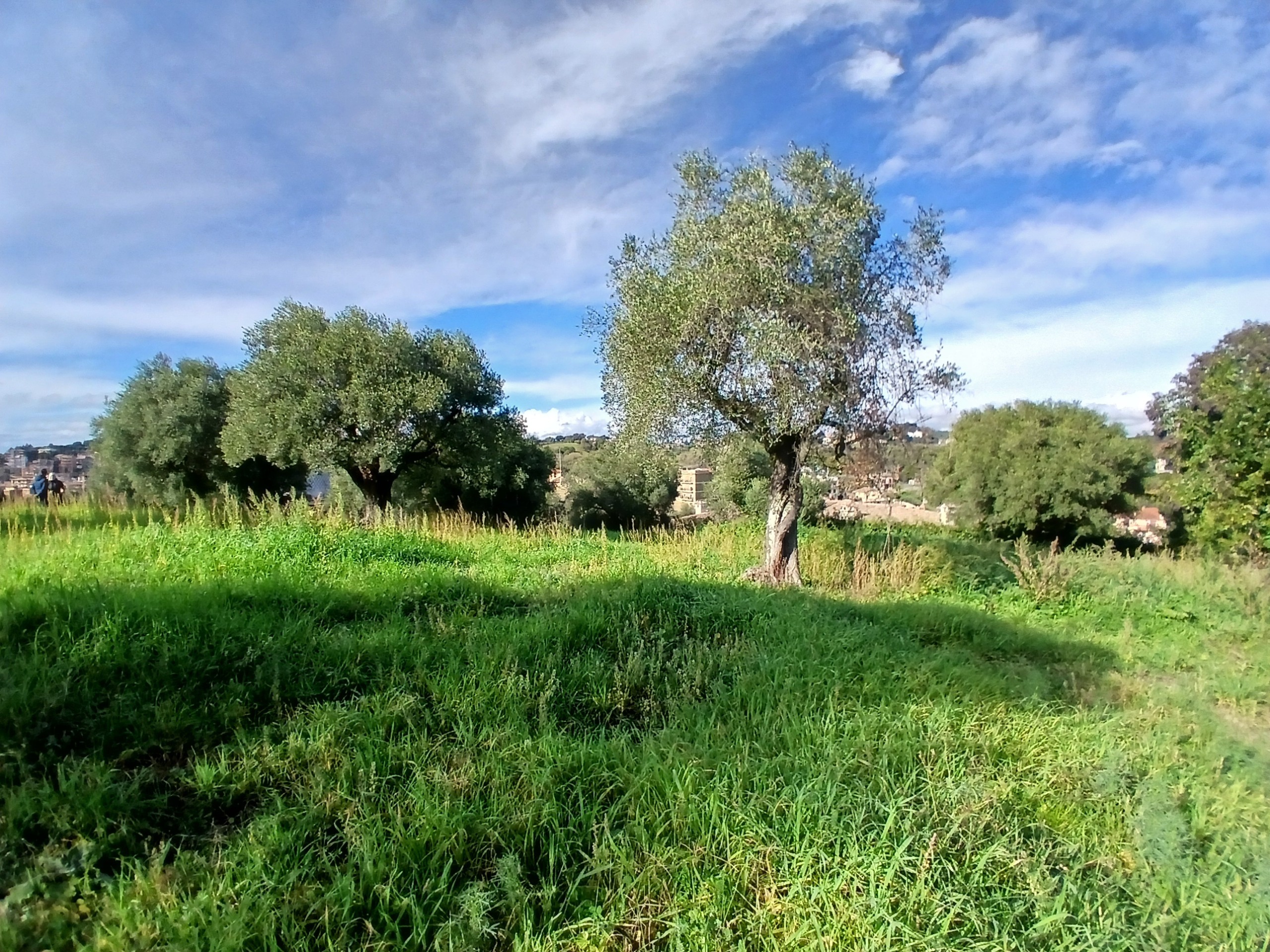 Foto annuncio 14