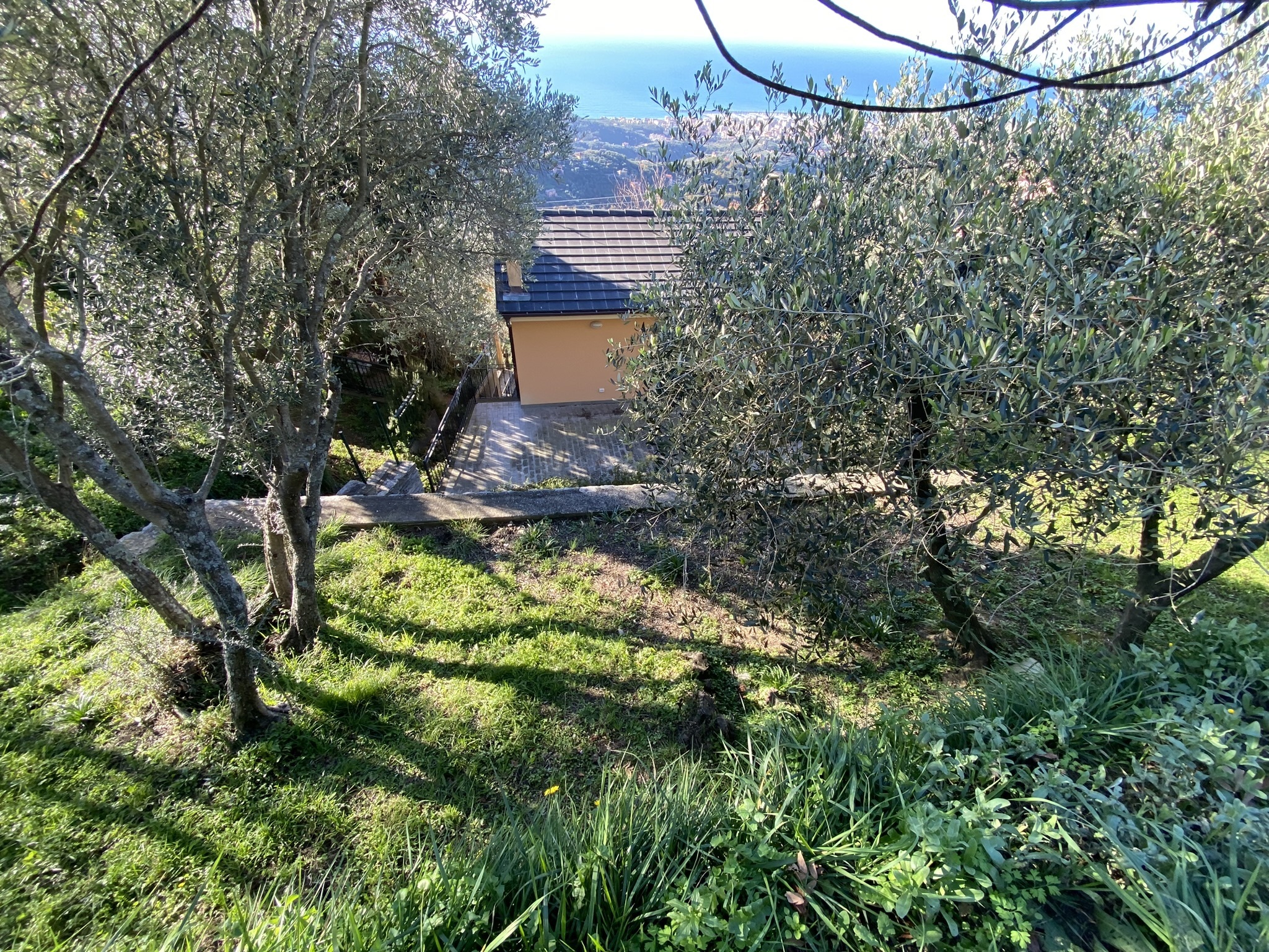Foto annuncio 40