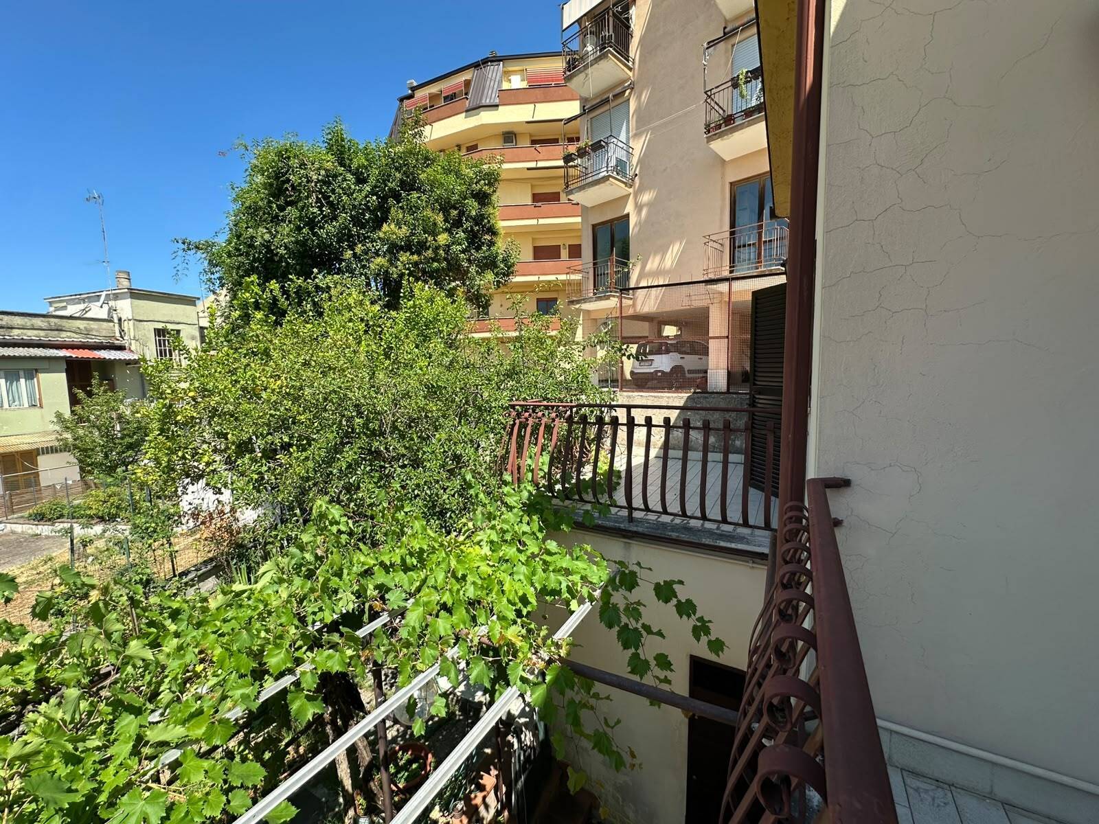 Foto annuncio 2
