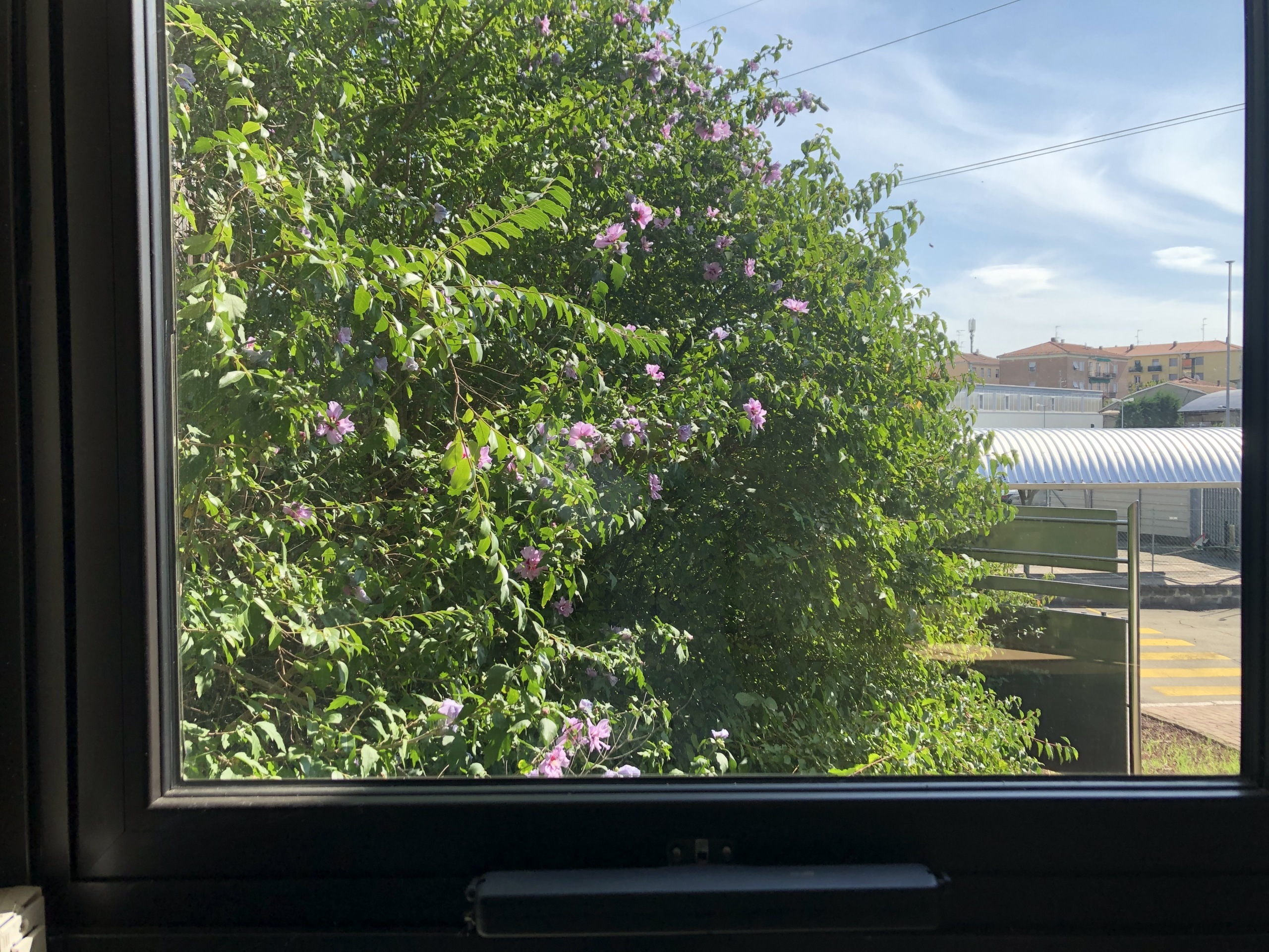 Immagine 11 di Ufficio in vendita  a Parma