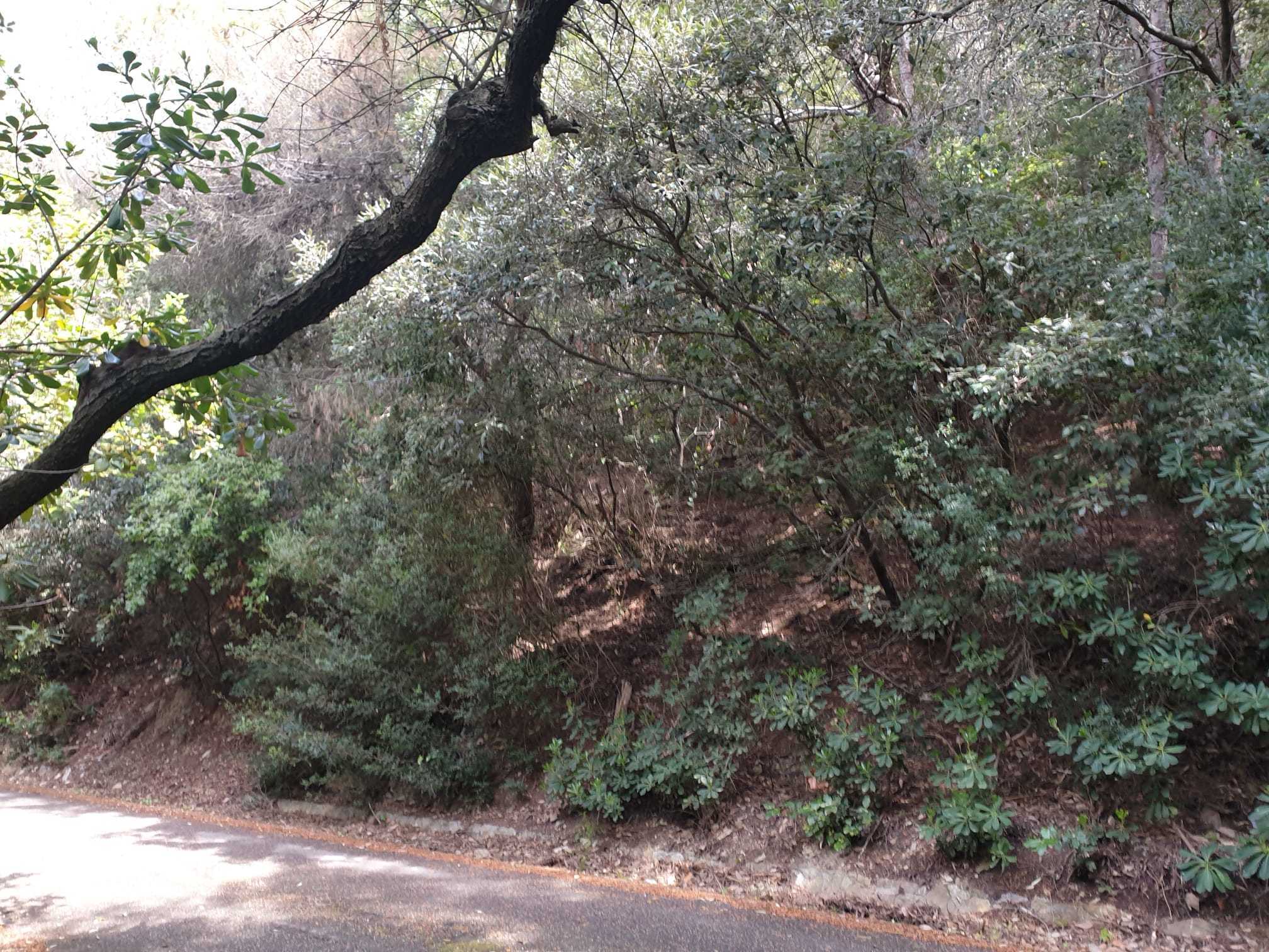 Immagine 5 di Rustico / casale in vendita  a Livorno