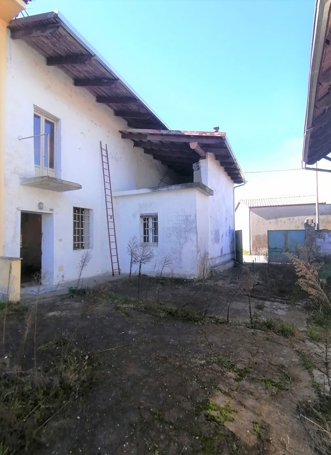 Foto annuncio 6
