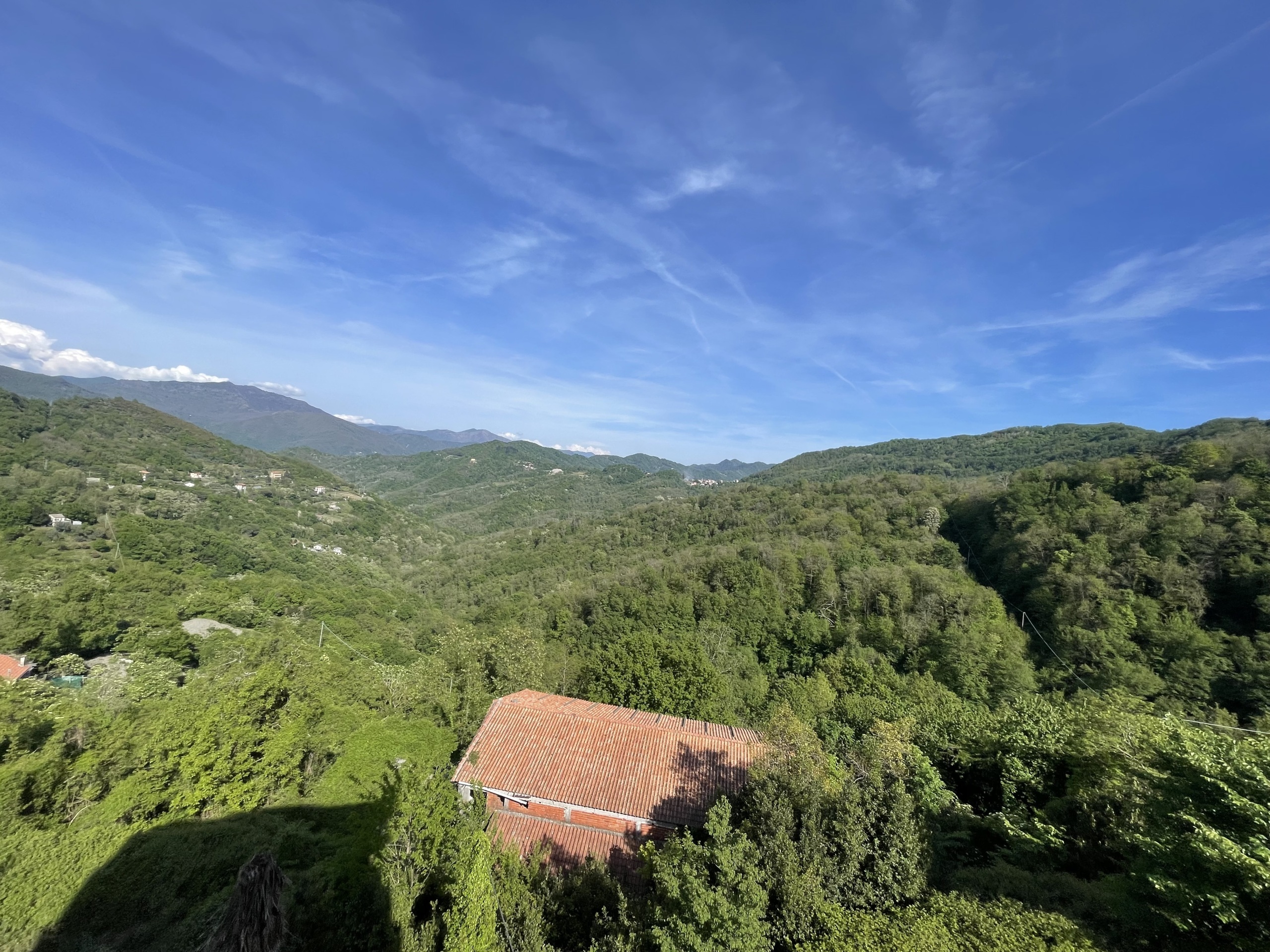 Foto annuncio 17