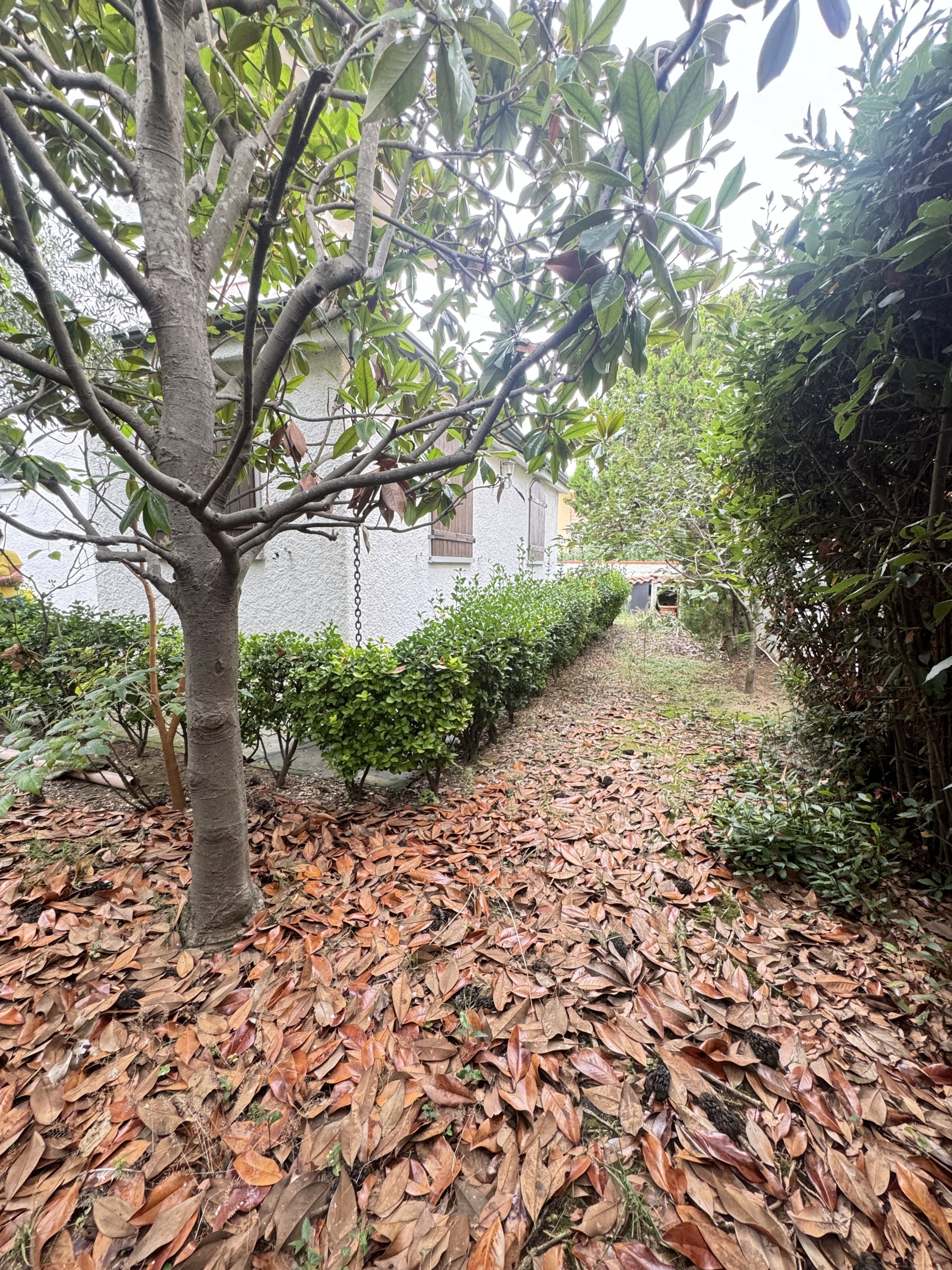 Immagine 27 di Casa indipendente in vendita  a Viareggio