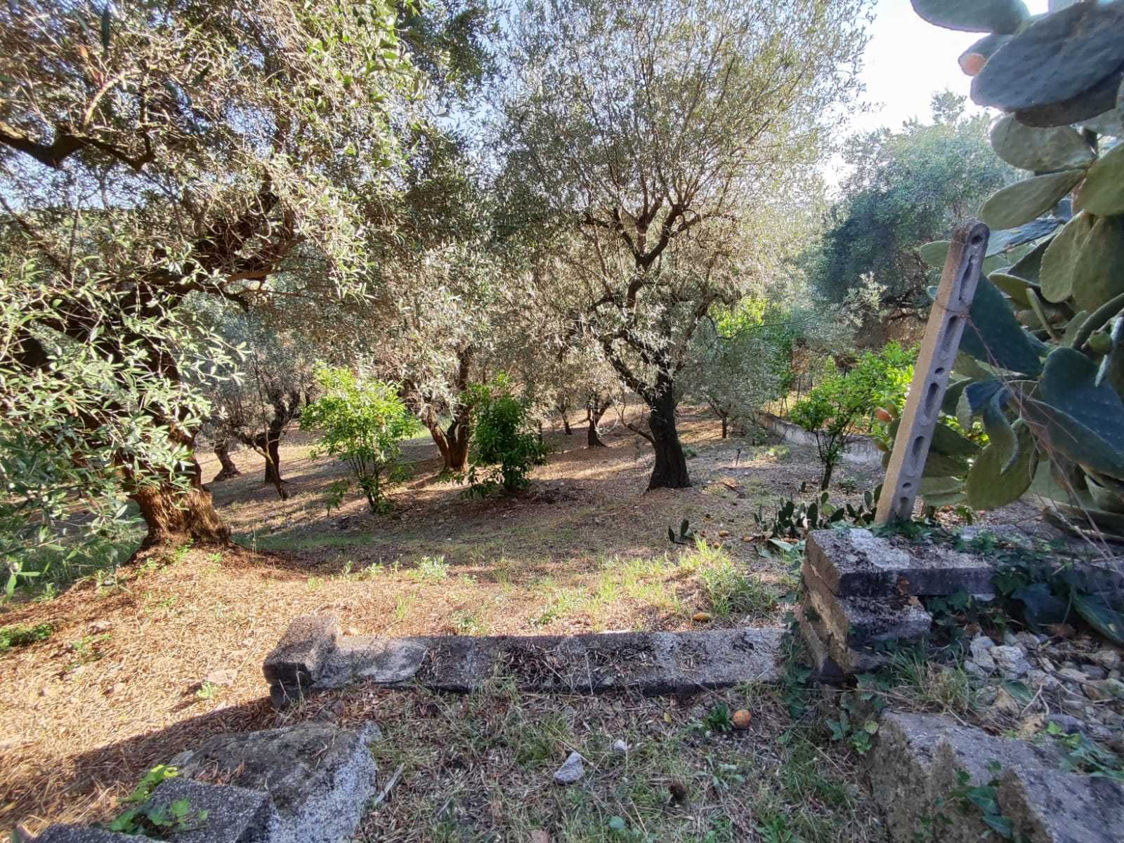 Immagine 13 di Terreno agricolo in vendita  in via caolini a Marcellina
