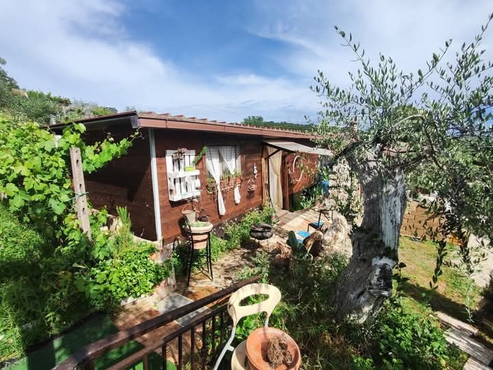 Immagine 5 di Terreno agricolo in vendita  in via monte palombino a Fonte Nuova