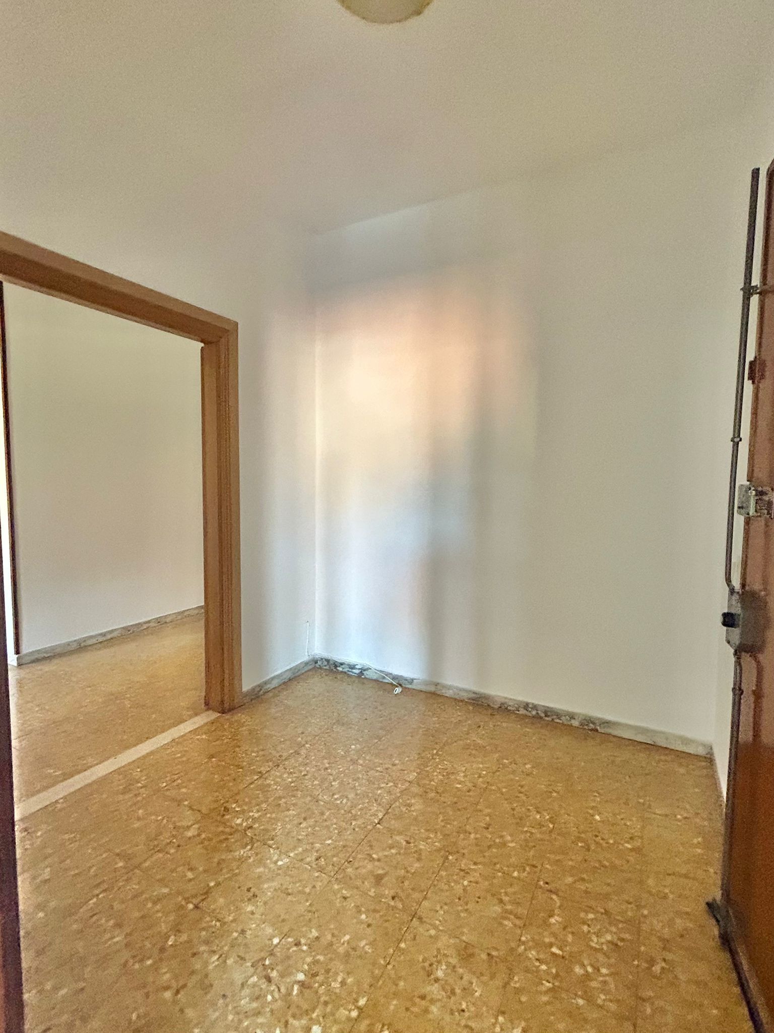 Foto annuncio 19