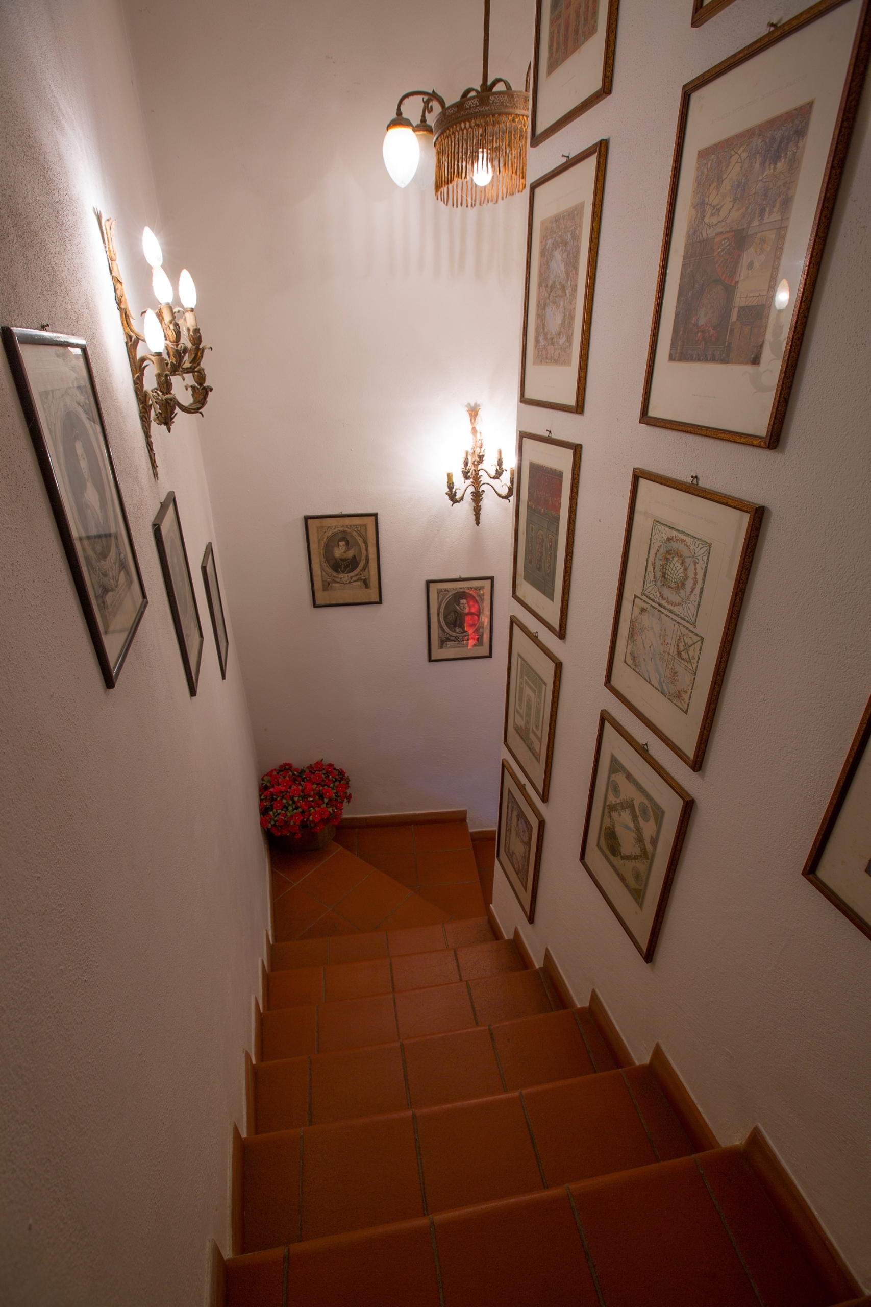 Foto annuncio 41