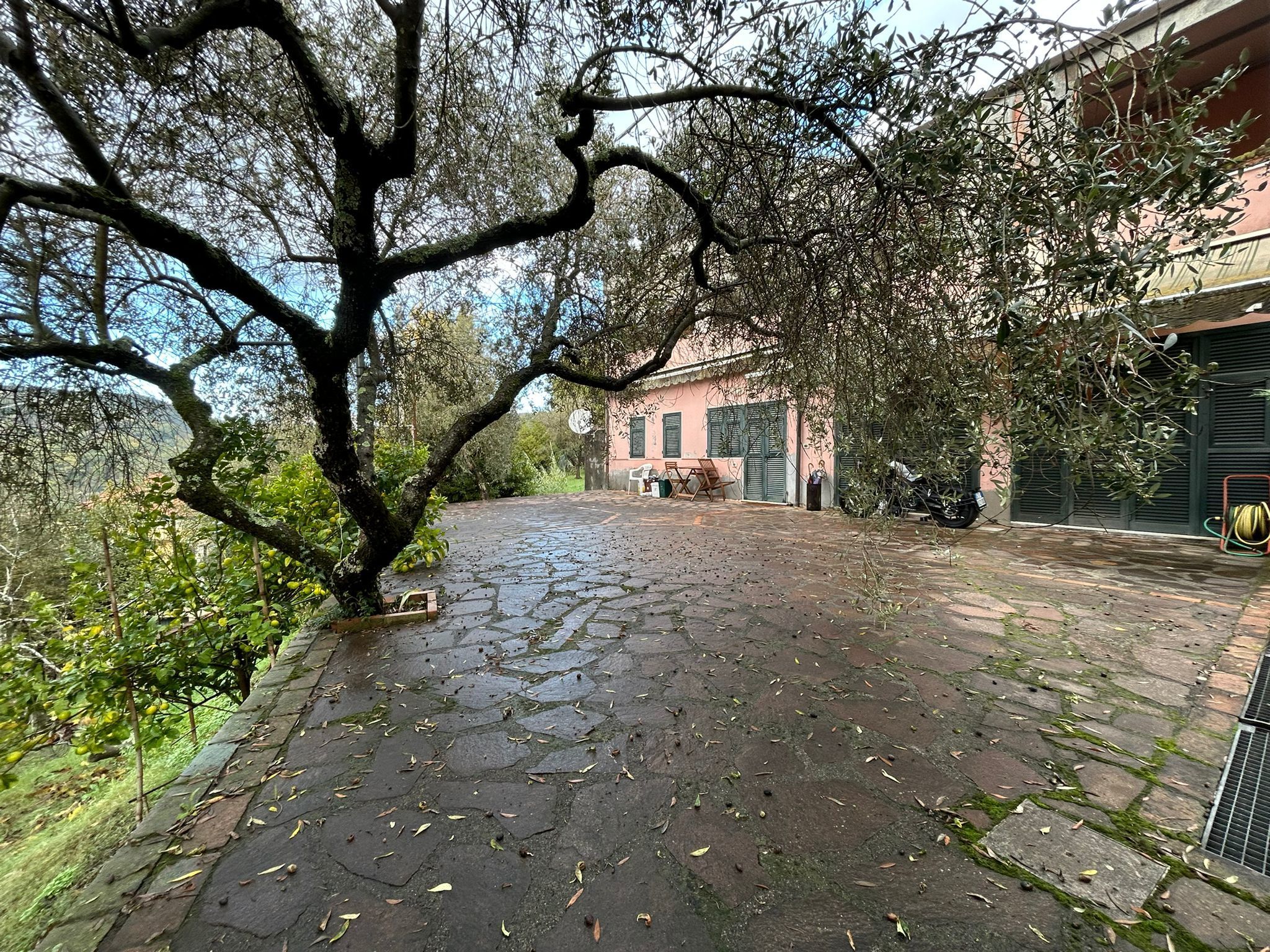 Foto annuncio 3