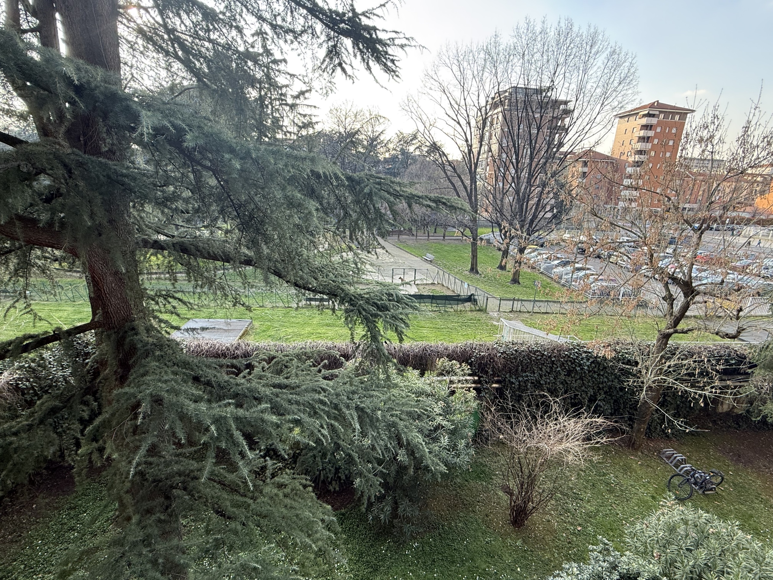 Foto annuncio 109
