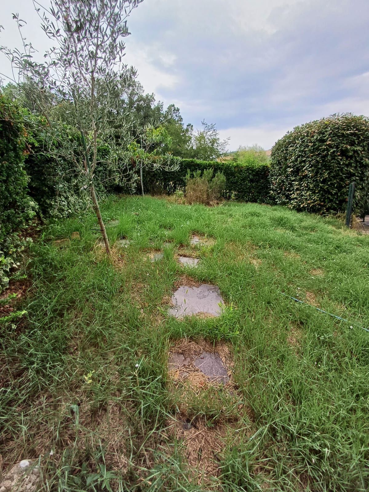 Immagine 21 di Trilocale in vendita  a Traversetolo