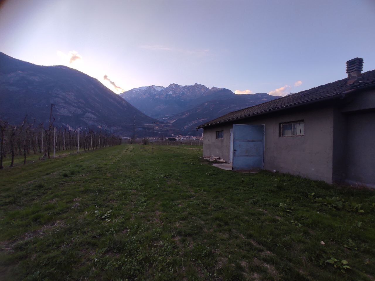 Foto annuncio 7