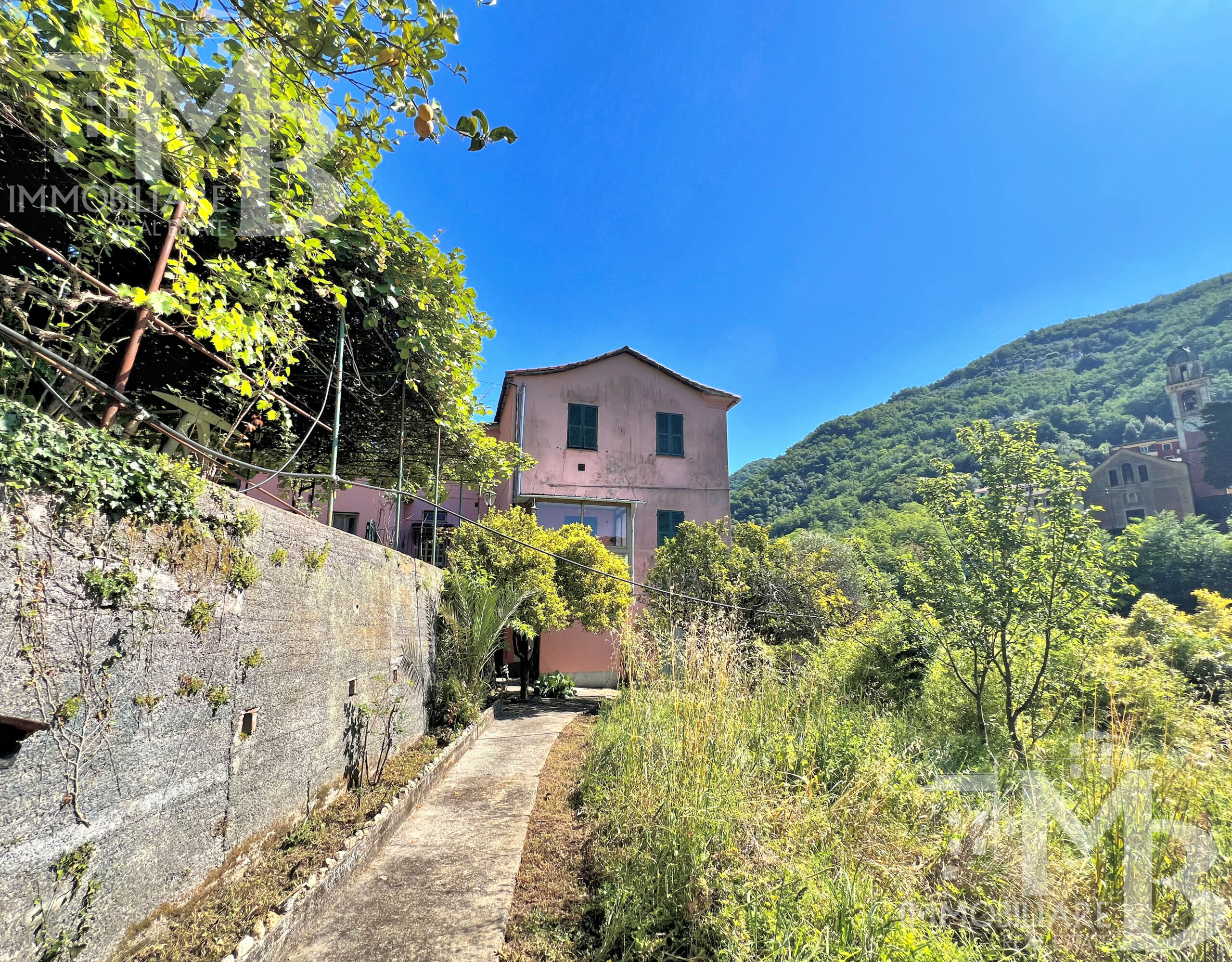 Foto annuncio 7