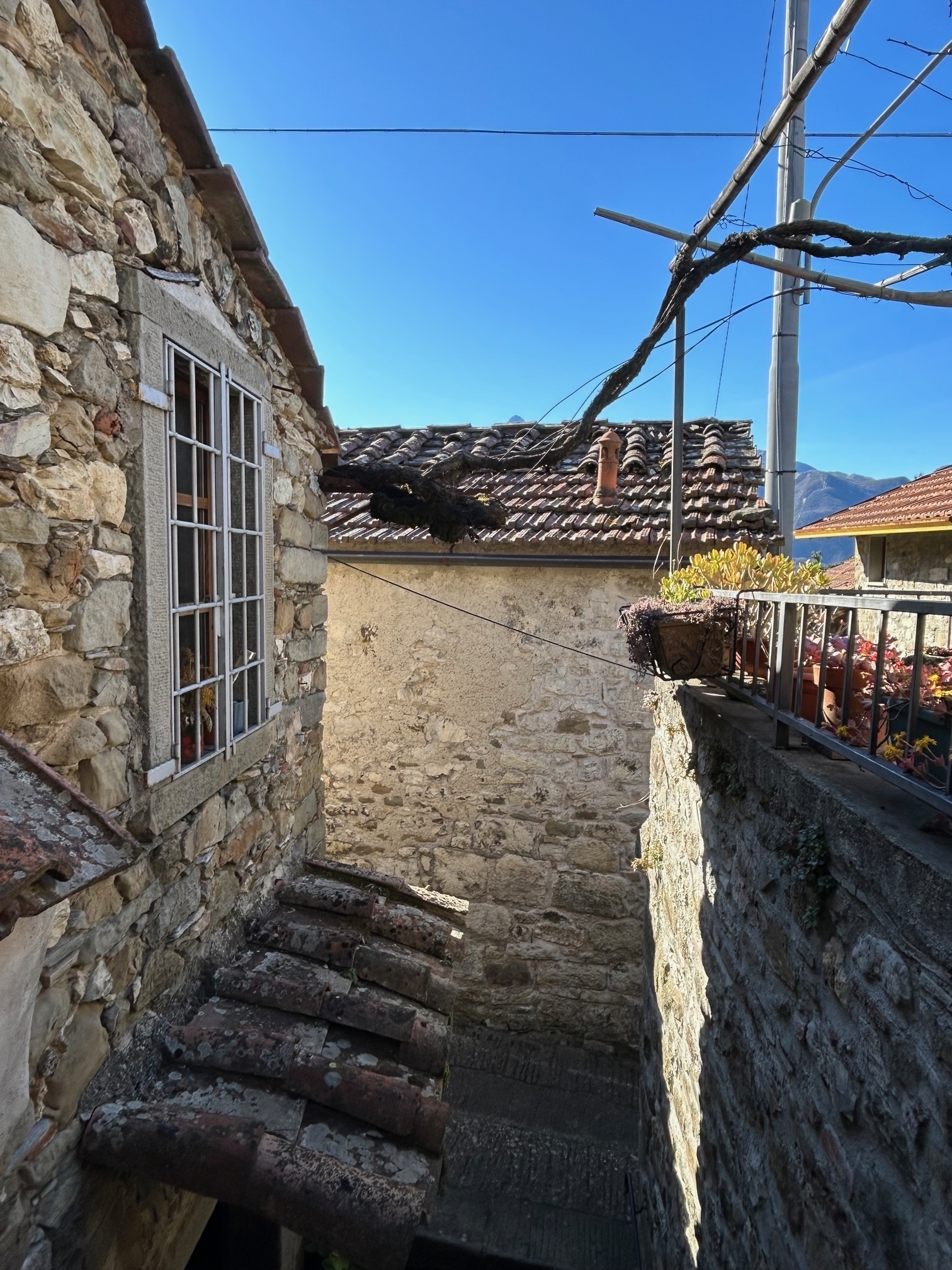 Foto annuncio 47