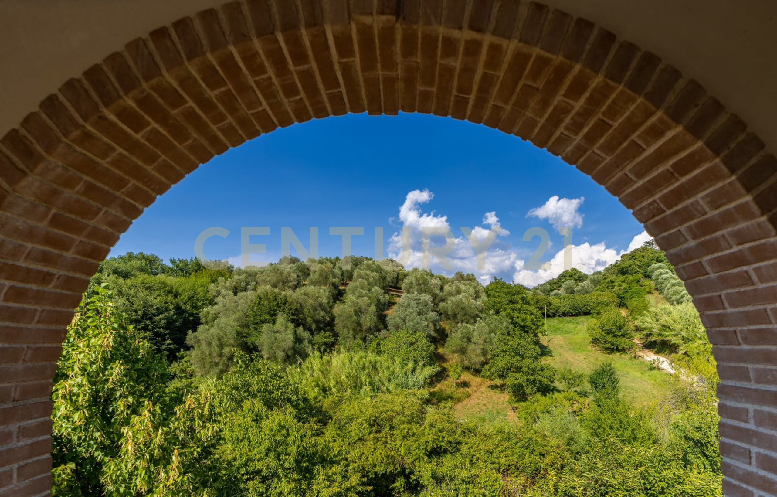 Immagine 33 di Villa in vendita  in localtà poderi di montemerano snc a Manciano