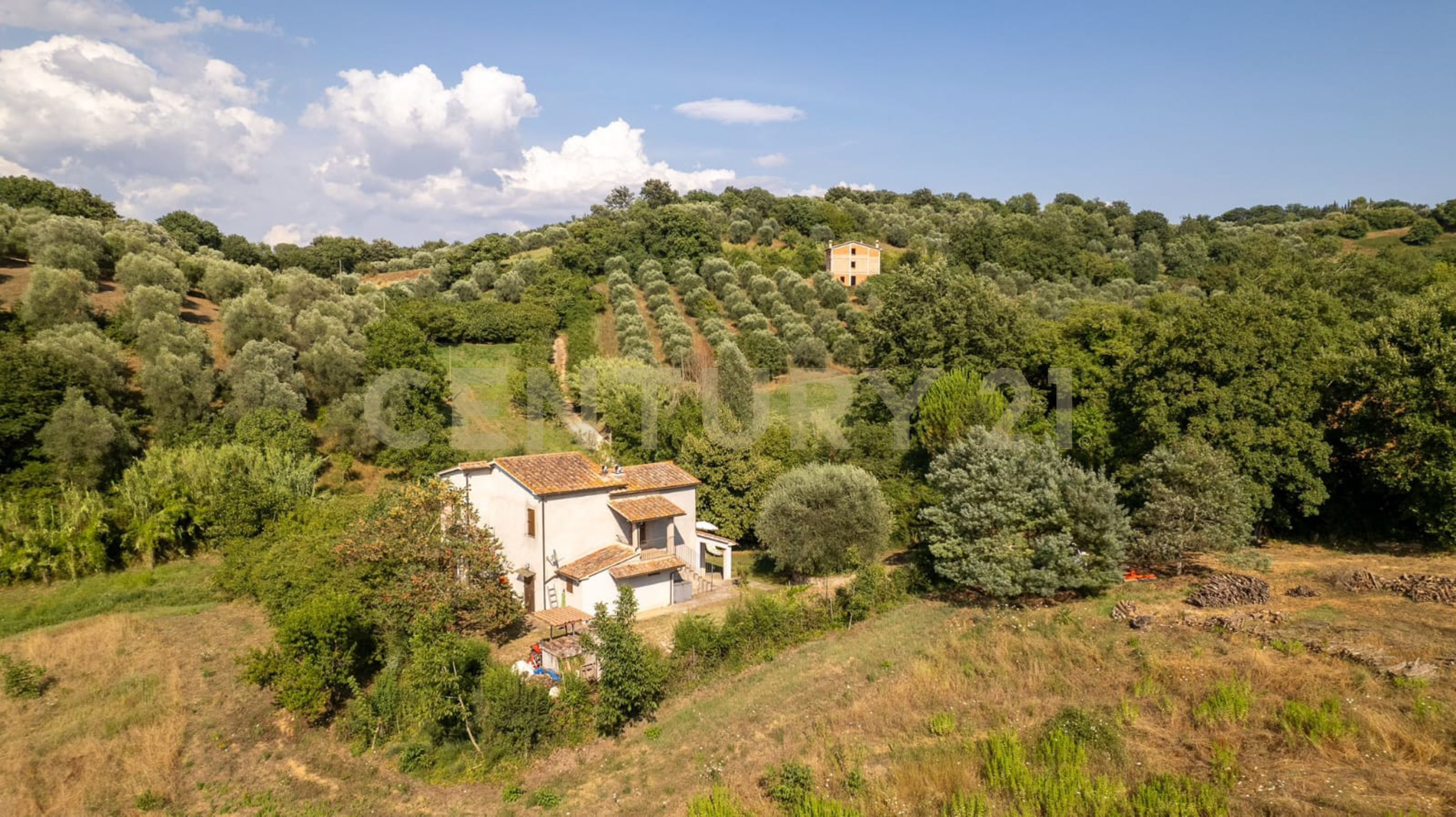 Immagine 5 di Villa in vendita  in localtà poderi di montemerano snc a Manciano