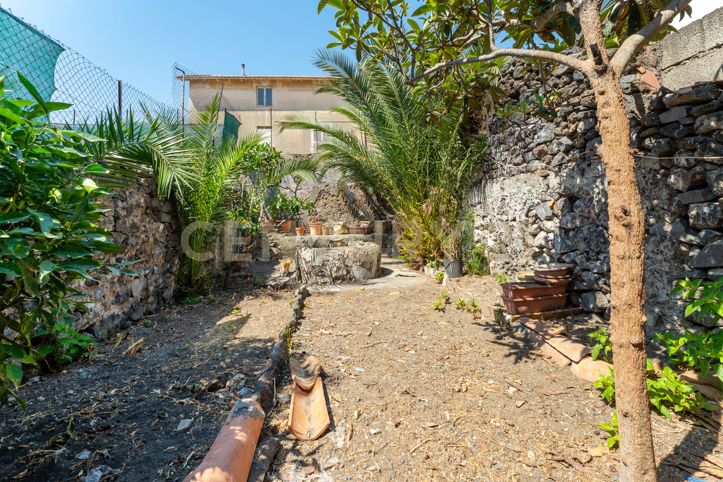 Immagine 1 di Quadrilocale in vendita  in Via Timoleone 113 a Catania