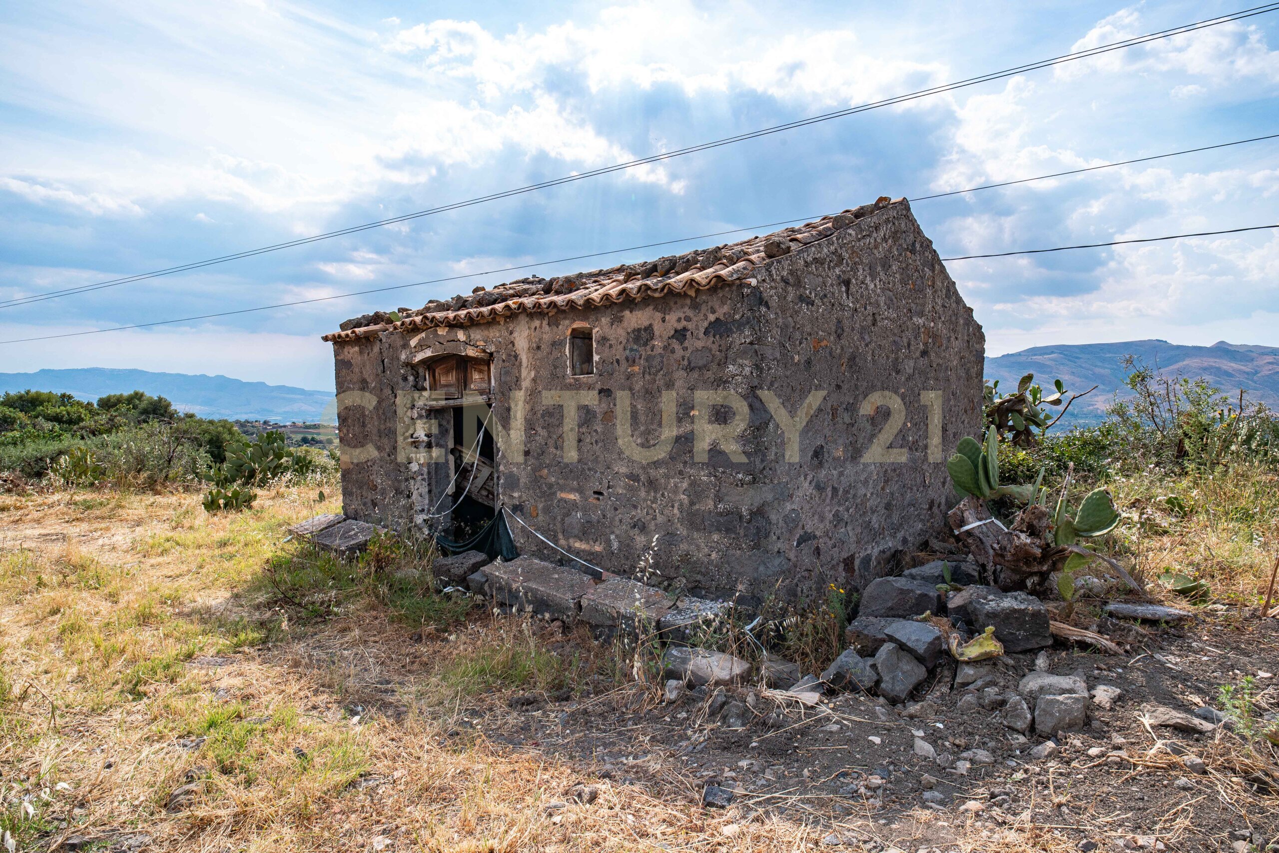 Foto annuncio 39