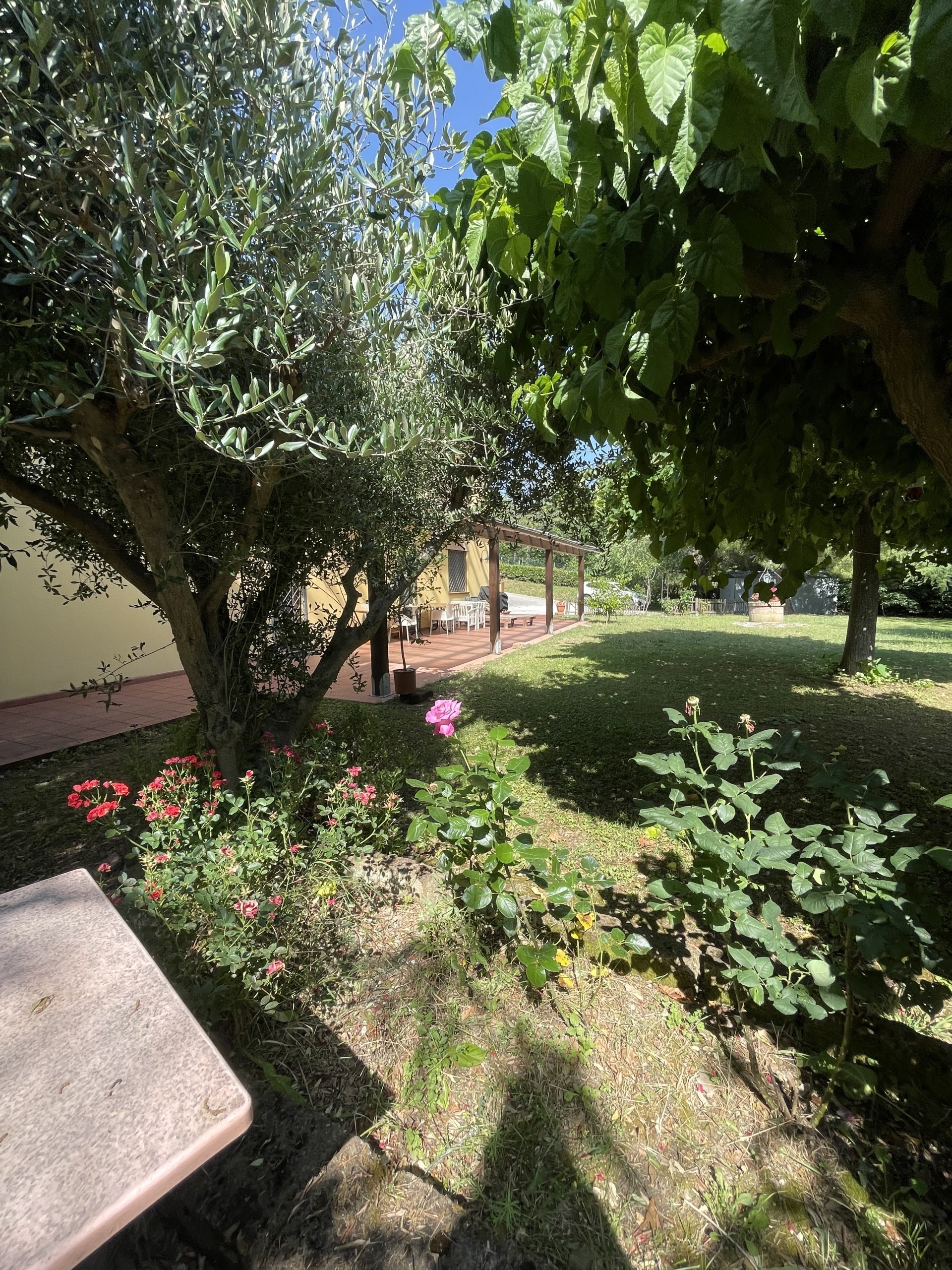 Immagine 31 di Rustico / casale in vendita  in offagna a Offagna