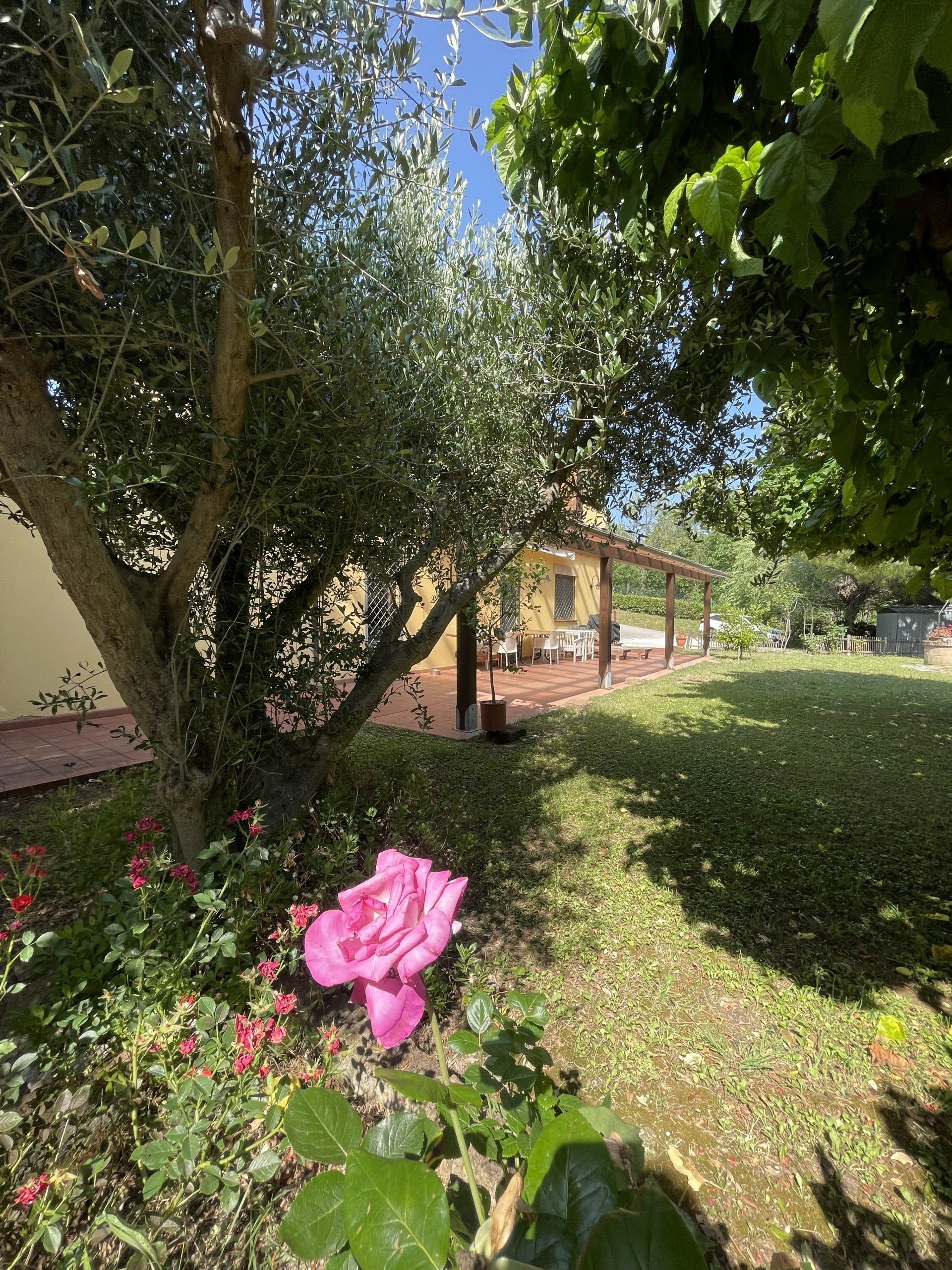 Immagine 29 di Rustico / casale in vendita  in offagna a Offagna