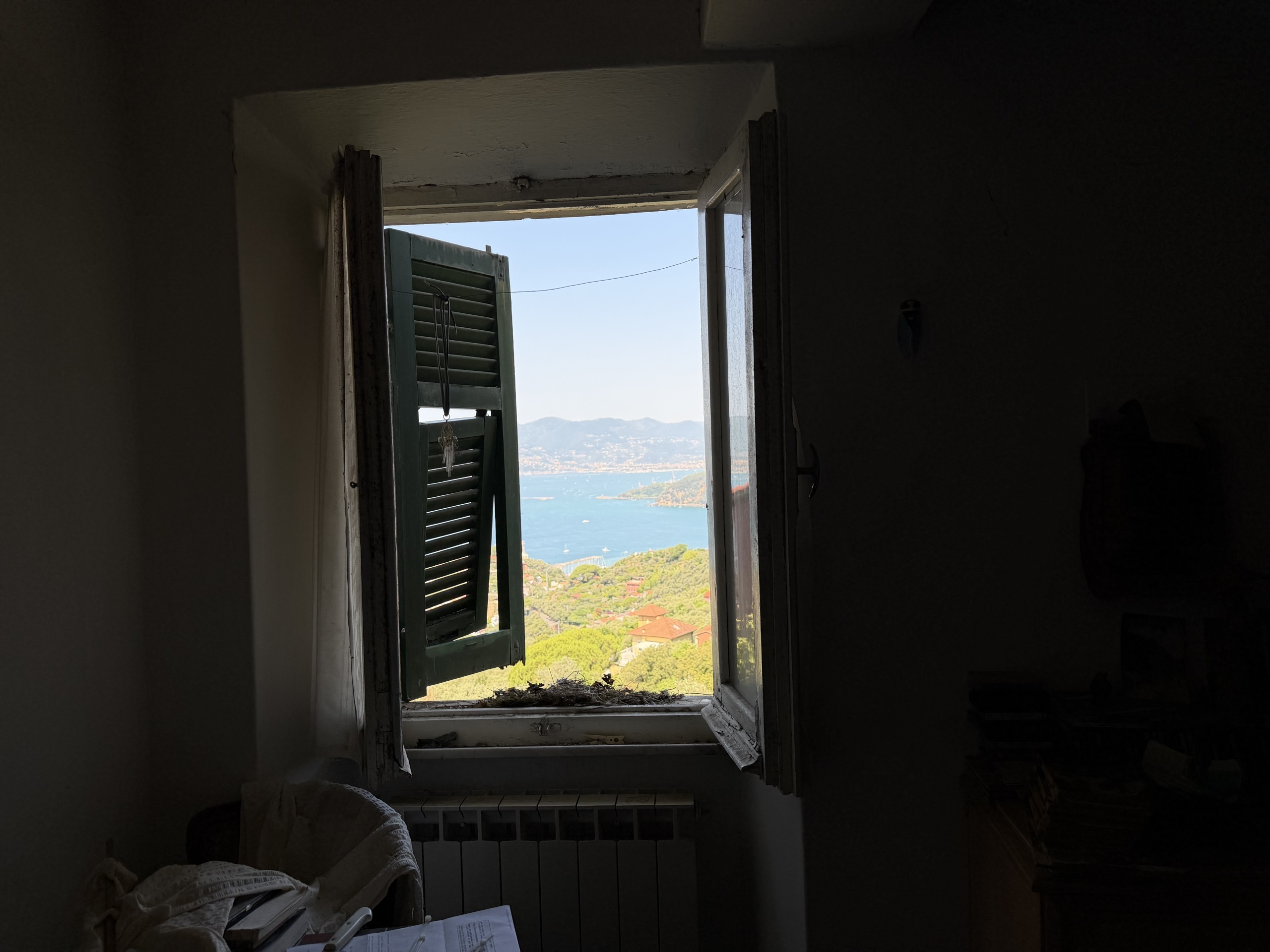Foto annuncio 11