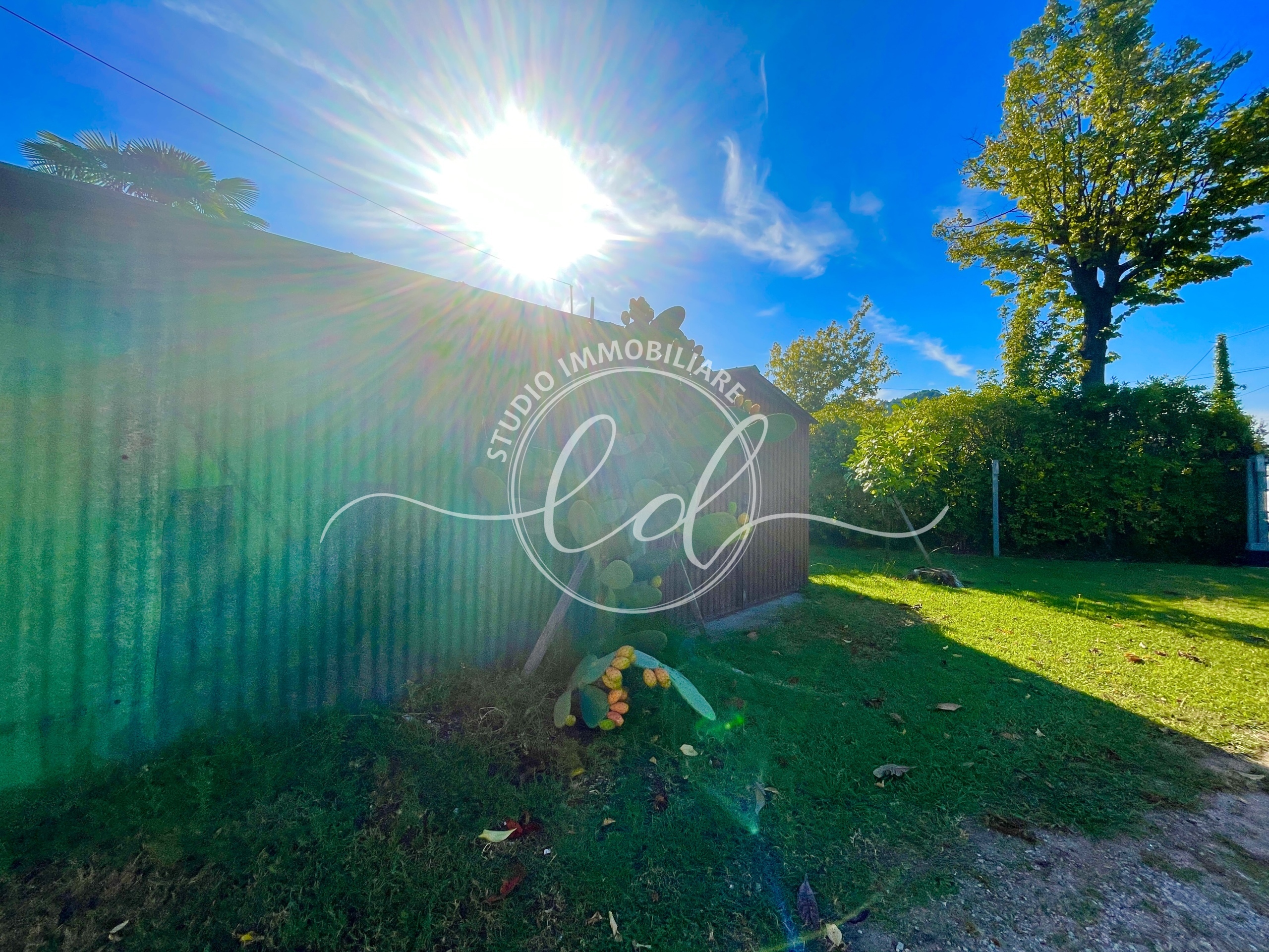 Immagine 9 di Rustico / casale in vendita  a Camaiore