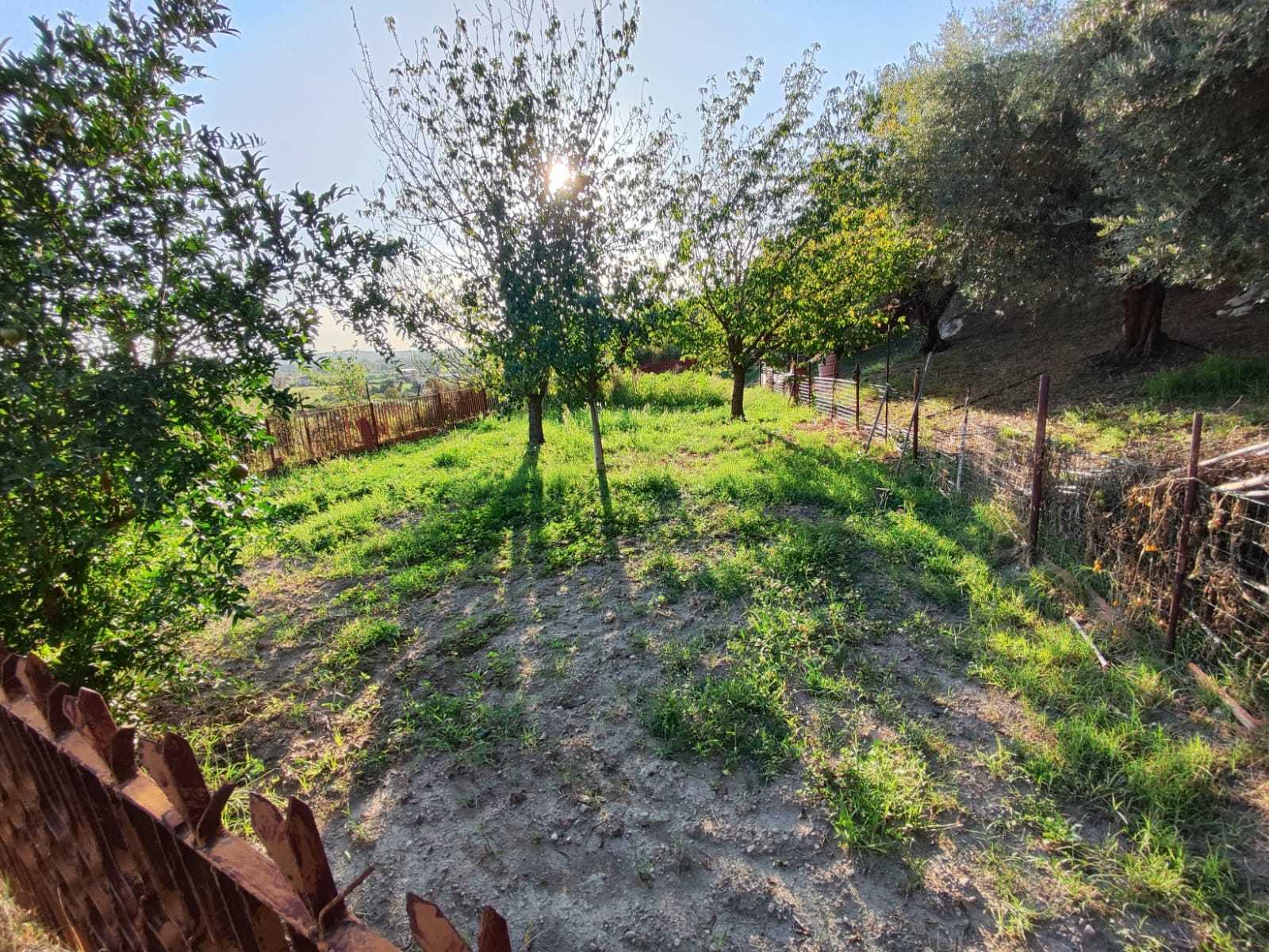 Immagine 4 di Terreno agricolo in vendita  in via caolini a Marcellina