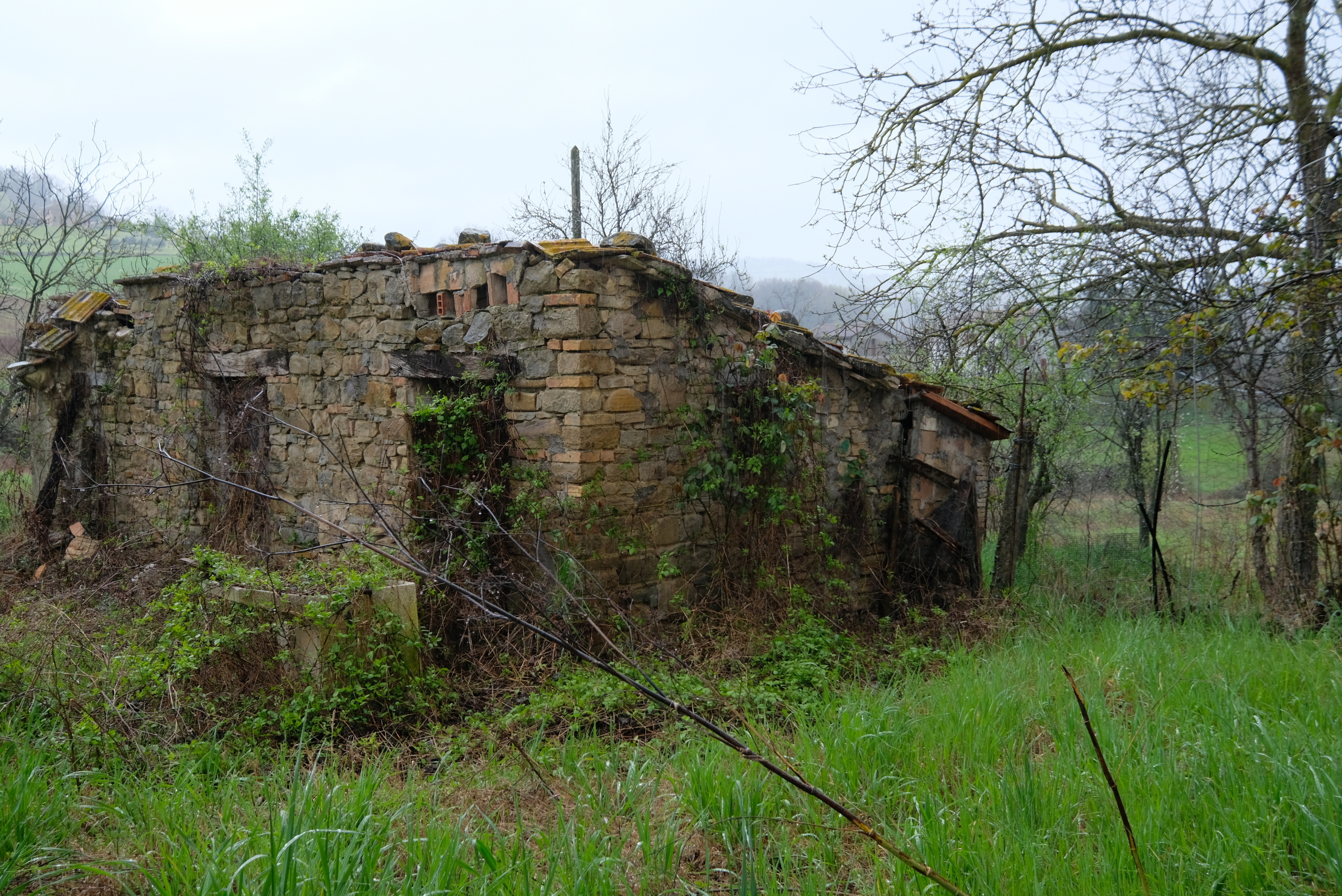 Foto annuncio 8