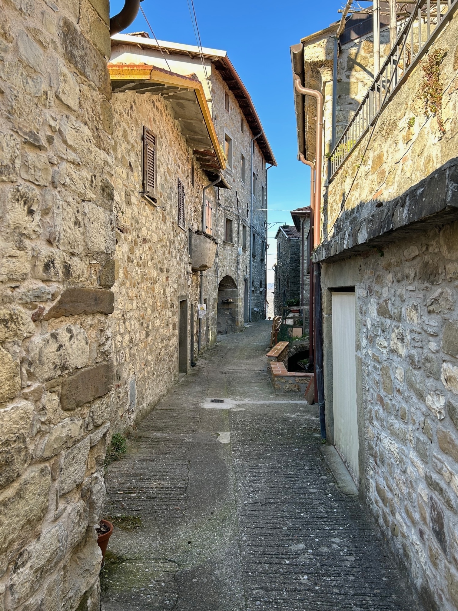 Foto annuncio 5