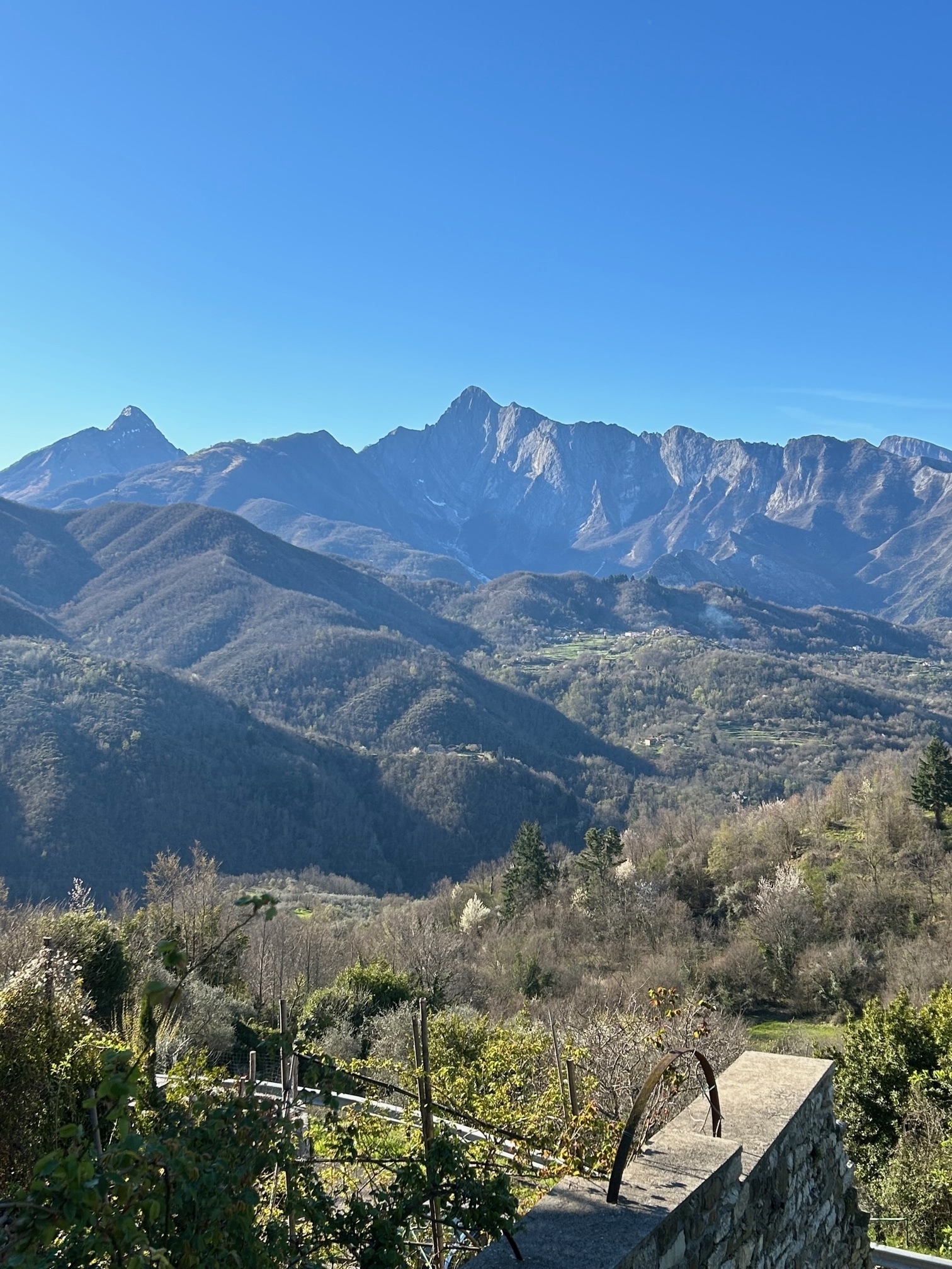 Foto annuncio 20