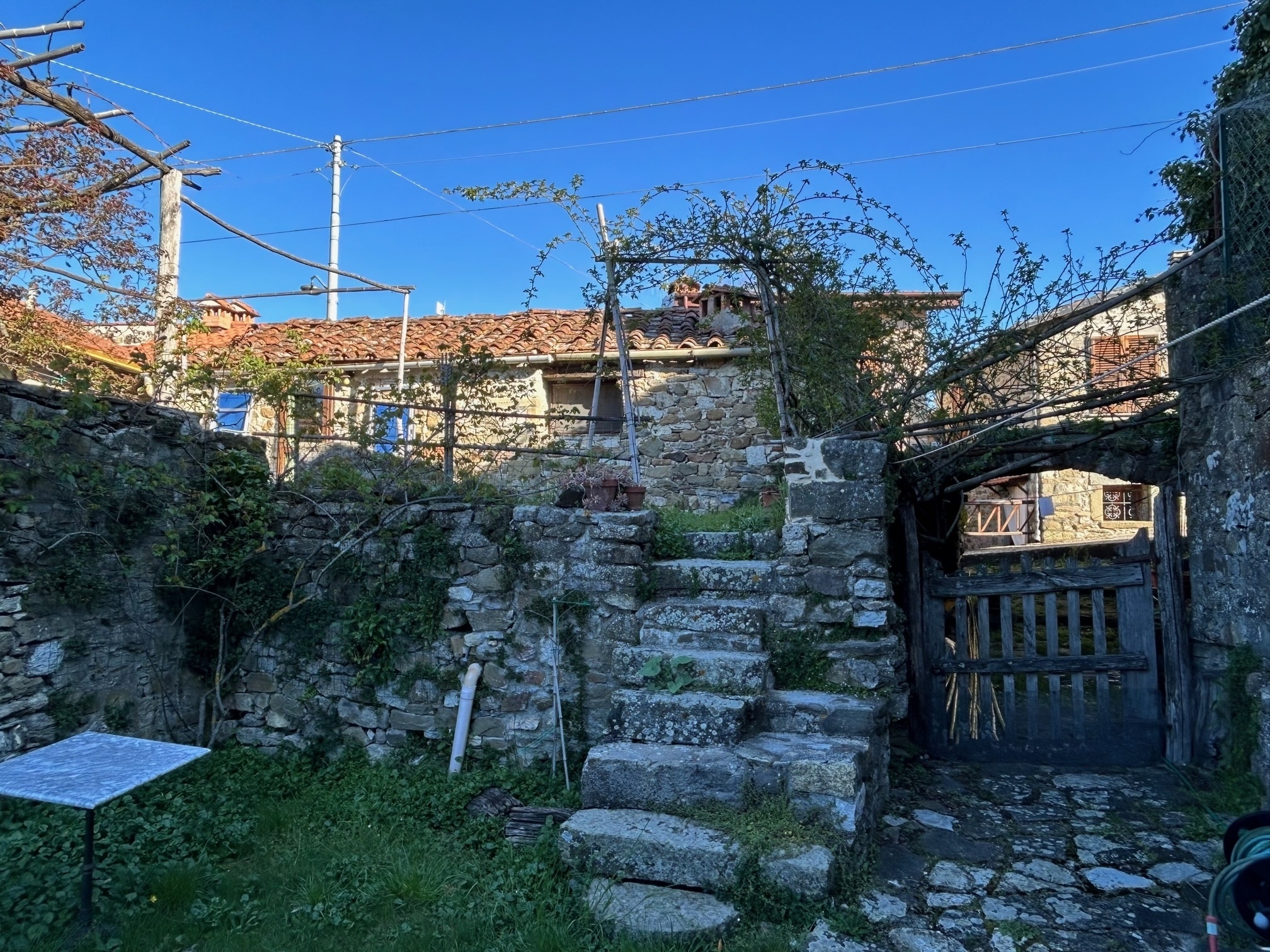 Foto annuncio 19