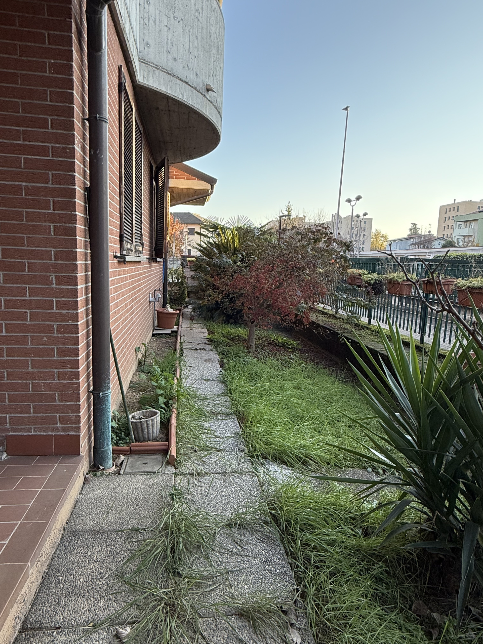Foto annuncio 51