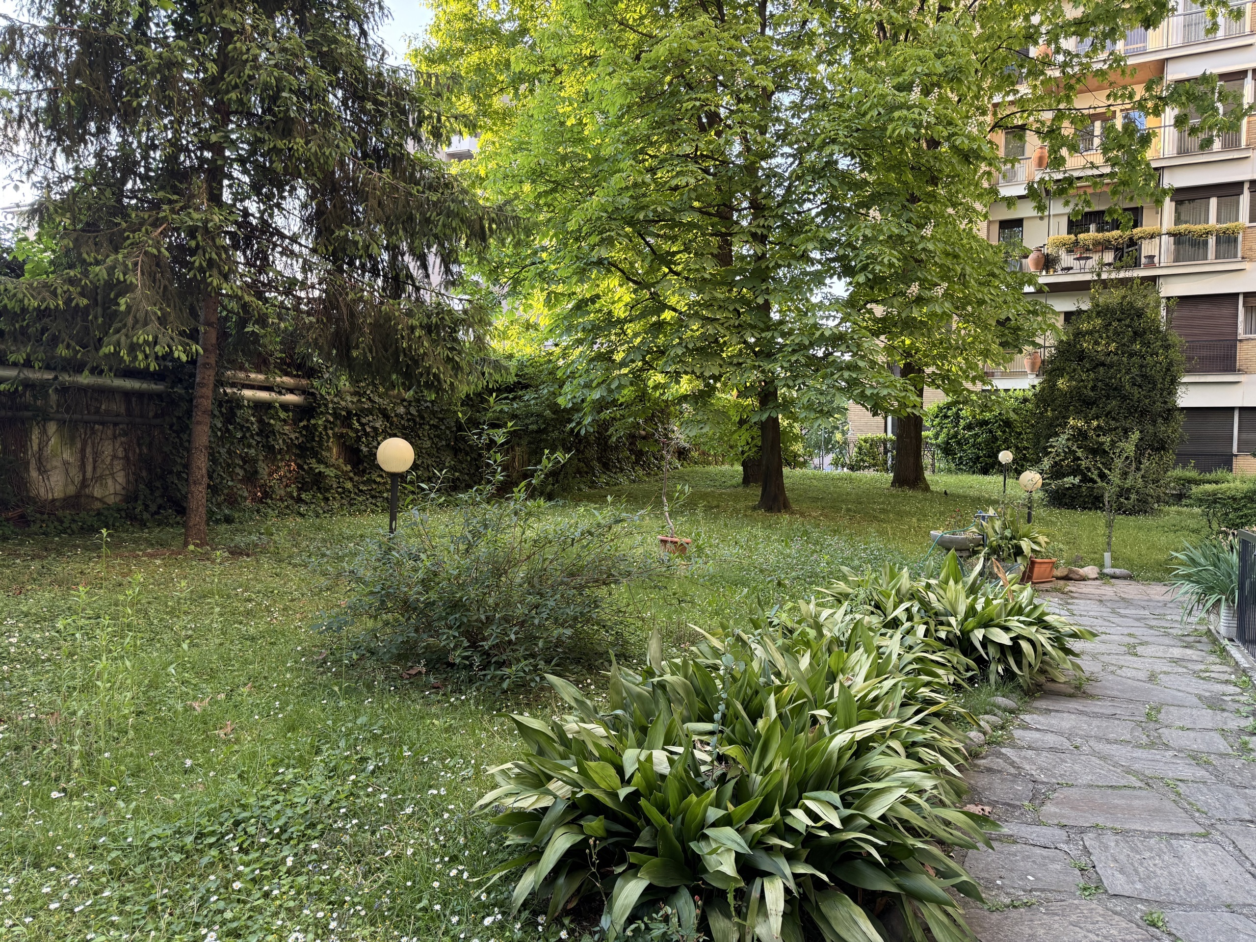 Foto annuncio 113