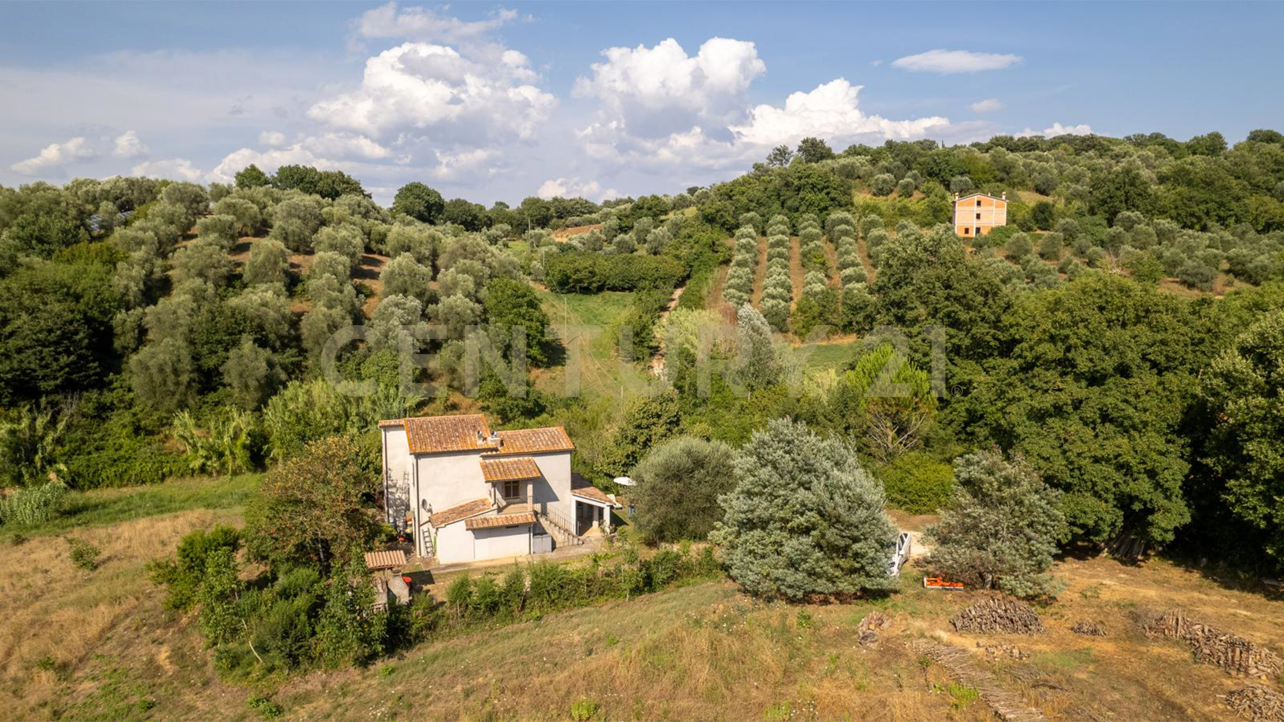 Immagine 38 di Villa in vendita  in localtà poderi di montemerano snc a Manciano
