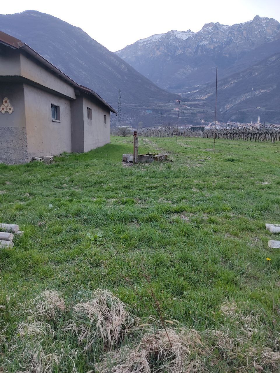 Foto annuncio 4