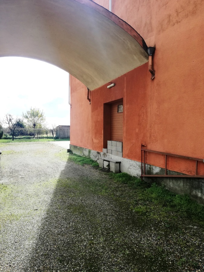 Foto annuncio 7