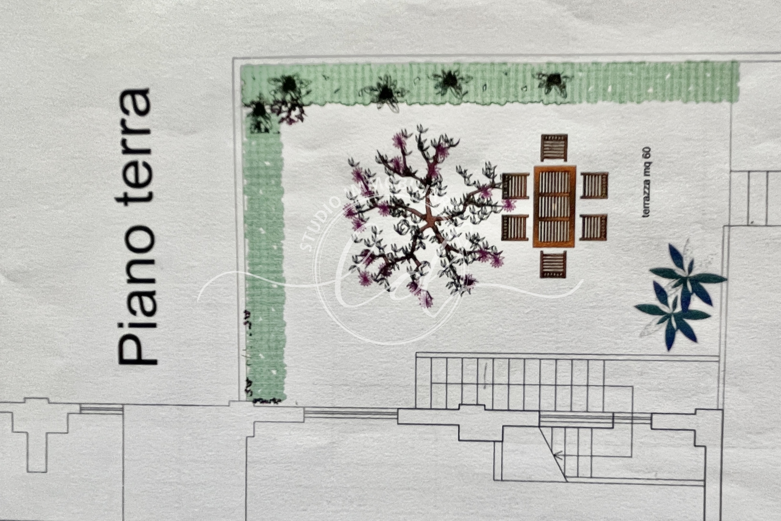 Immagine 14 di Porzione di casa in vendita  a Pietrasanta