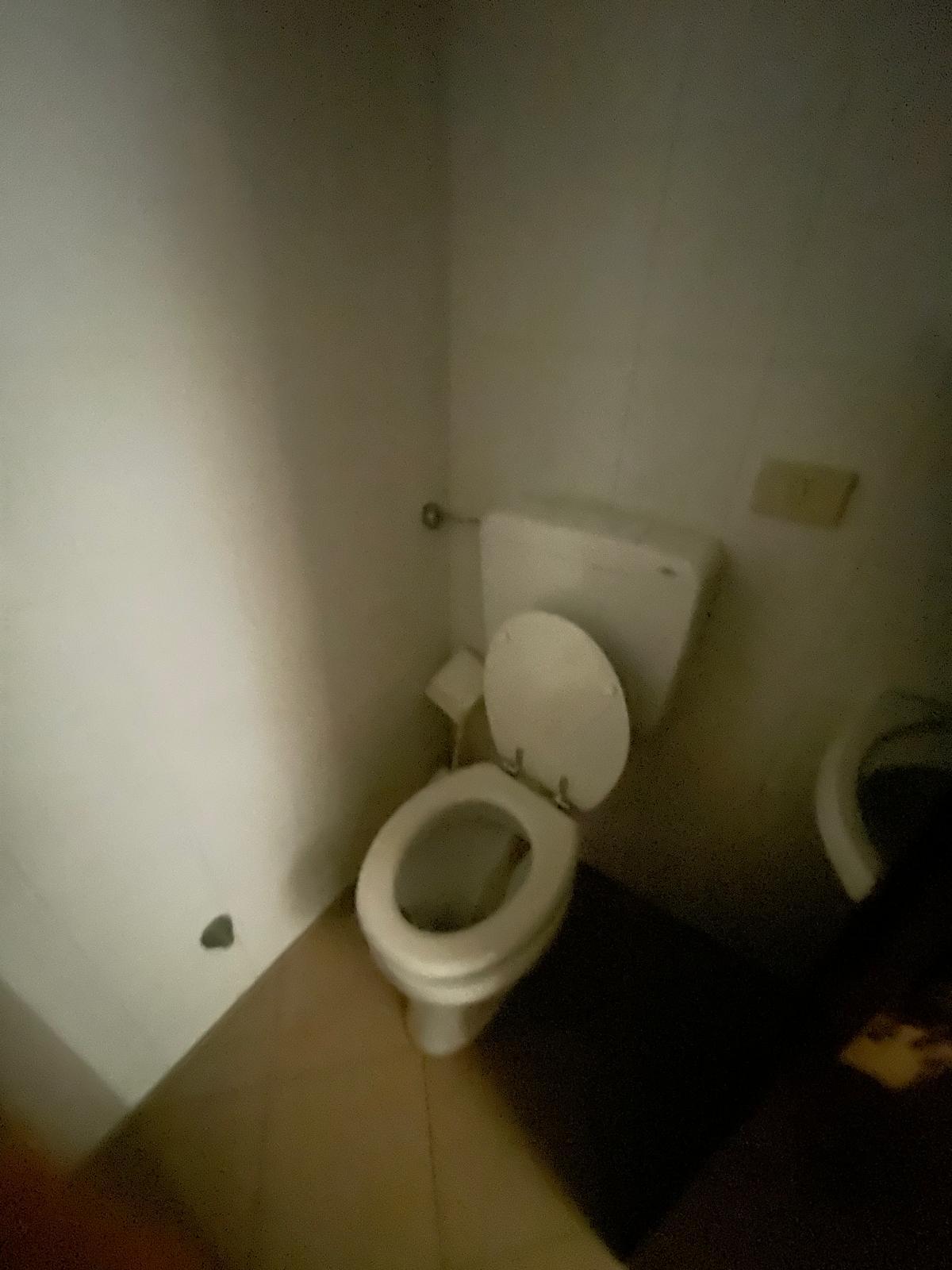 Immagine 17 di Capannone industriale in affitto  a Camaiore