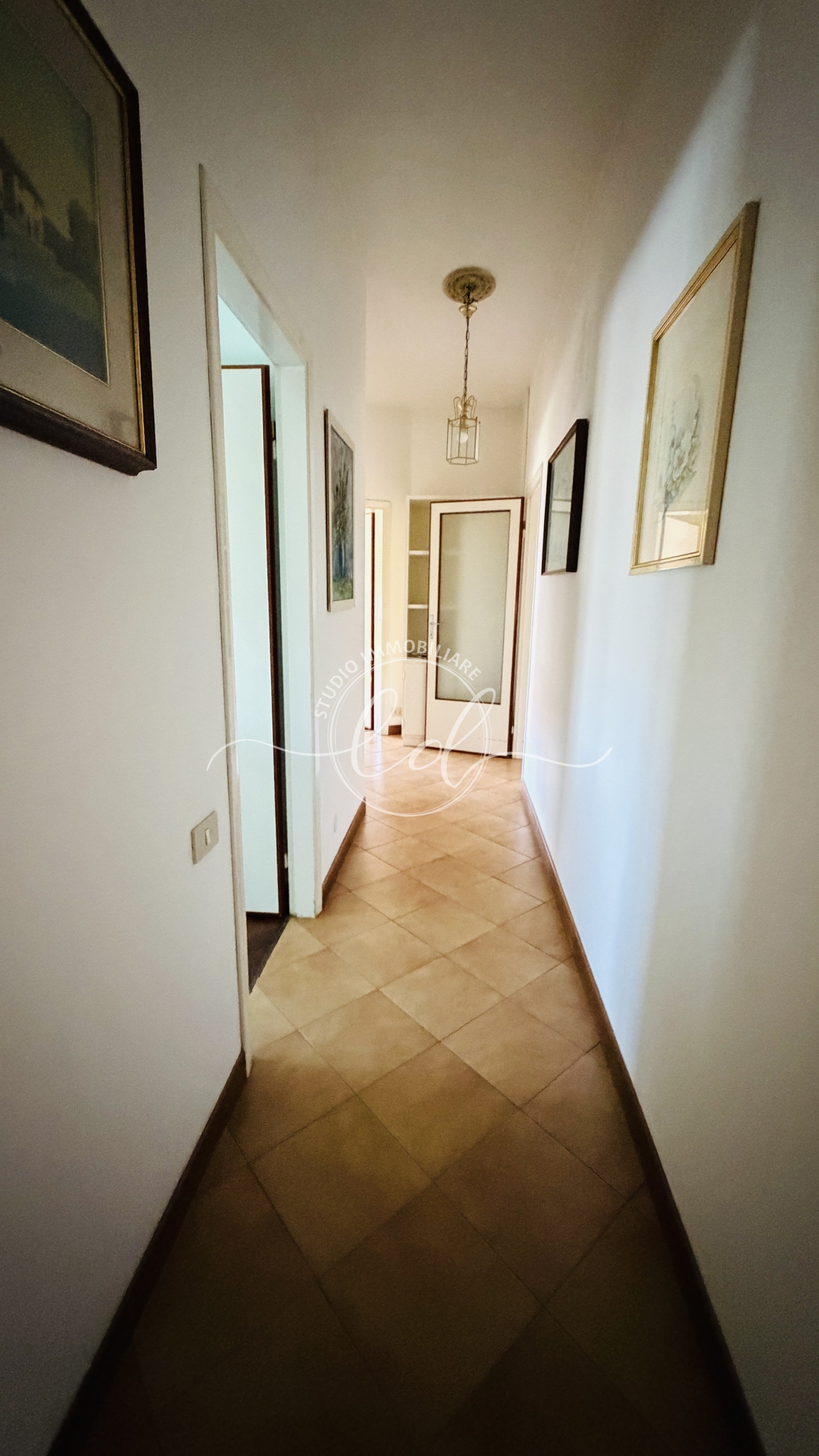 Foto annuncio 65