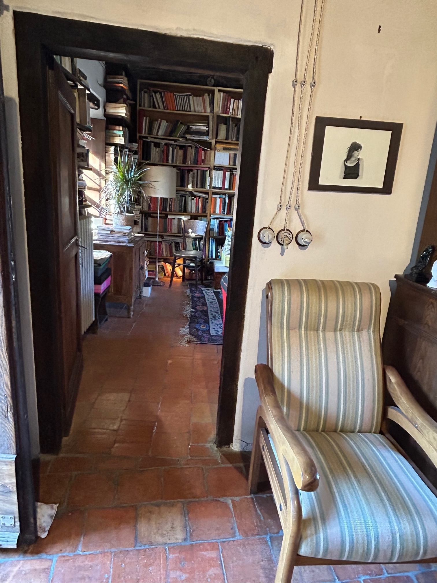 Foto annuncio 44