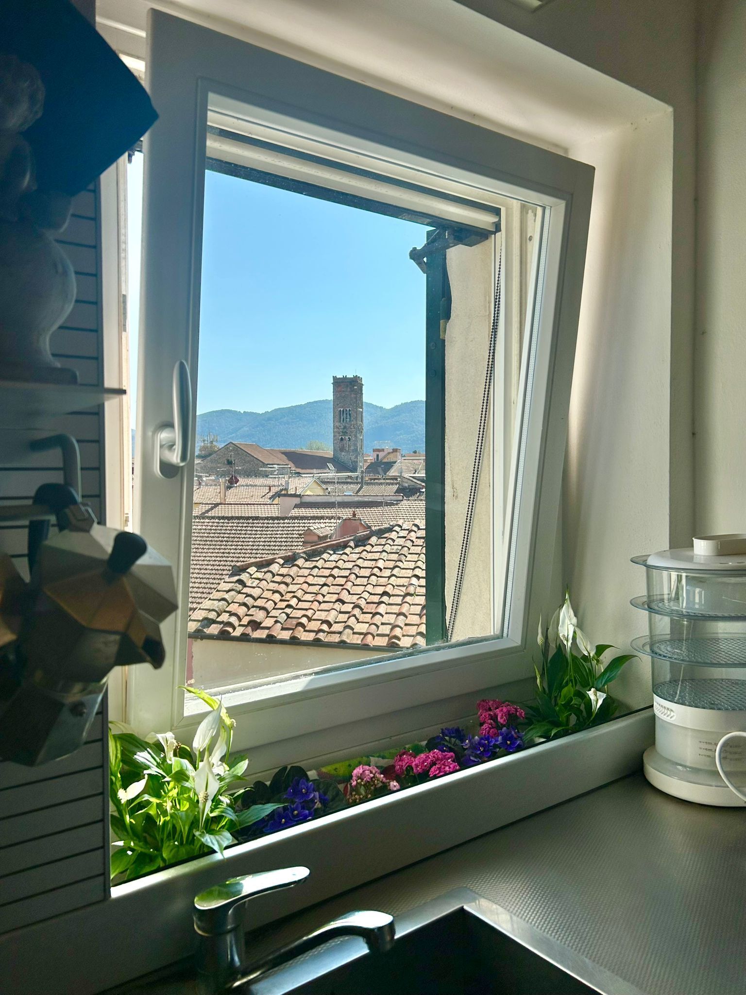 Foto annuncio 23