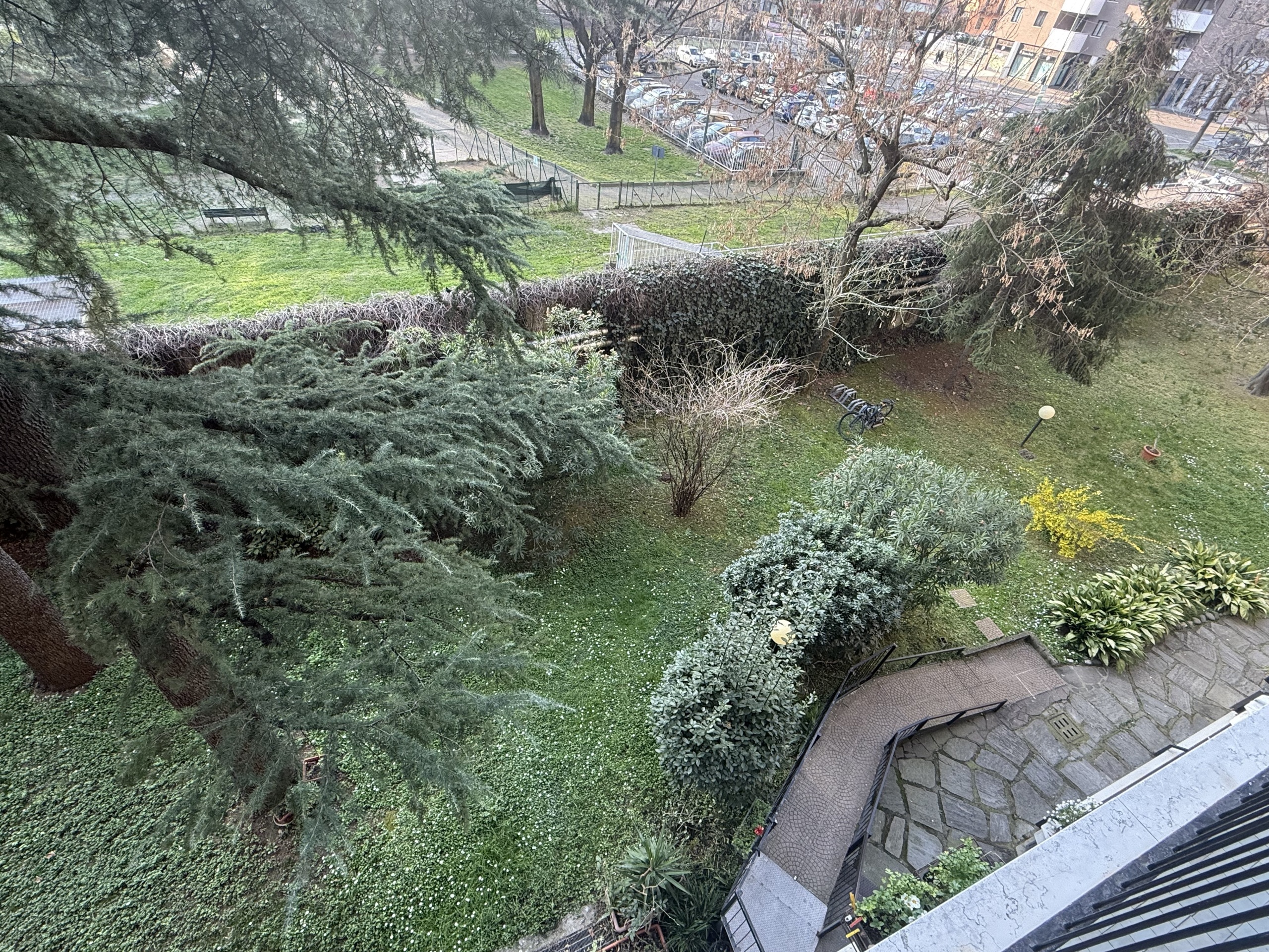Foto annuncio 55