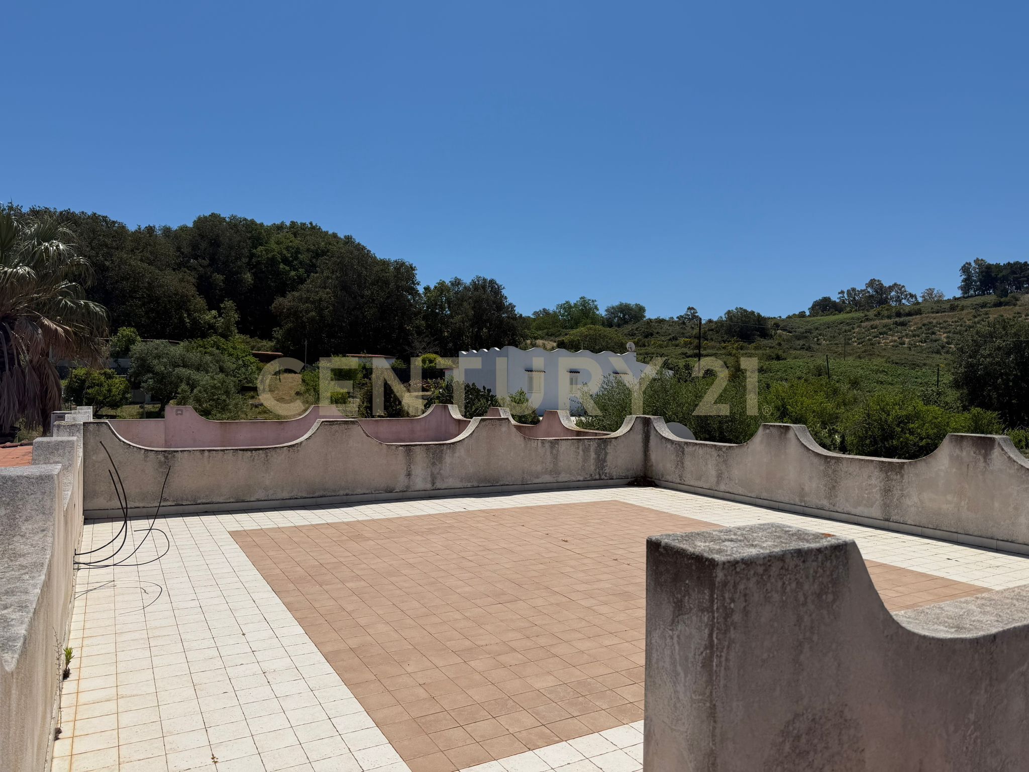 Foto annuncio 23