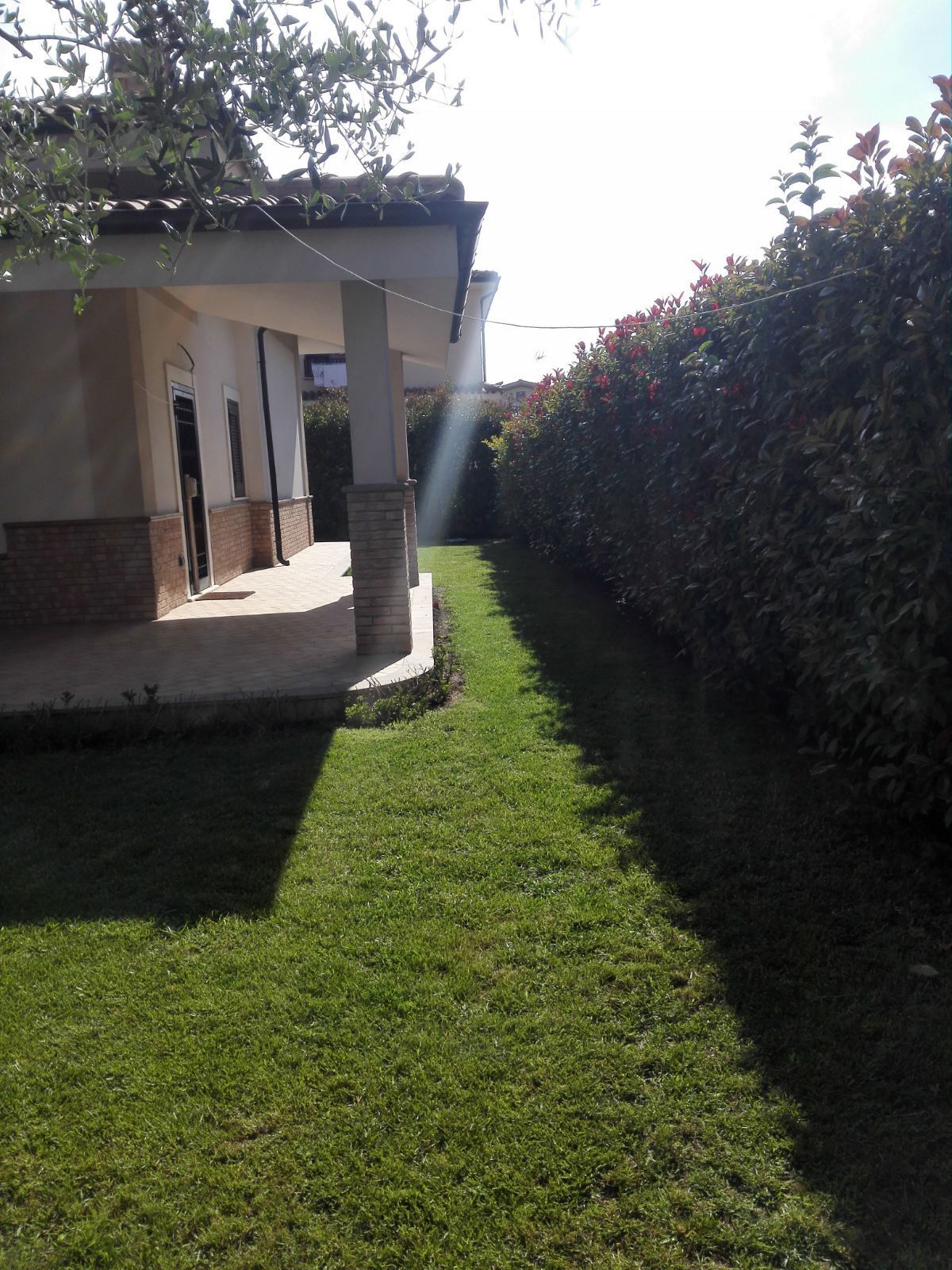 Foto annuncio 12